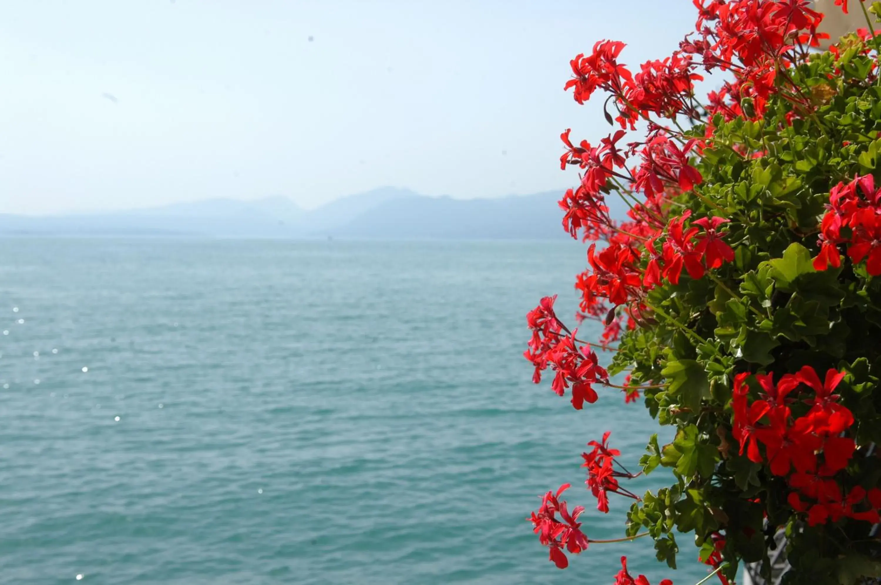 Natural landscape, Sea View in Hotel Lido