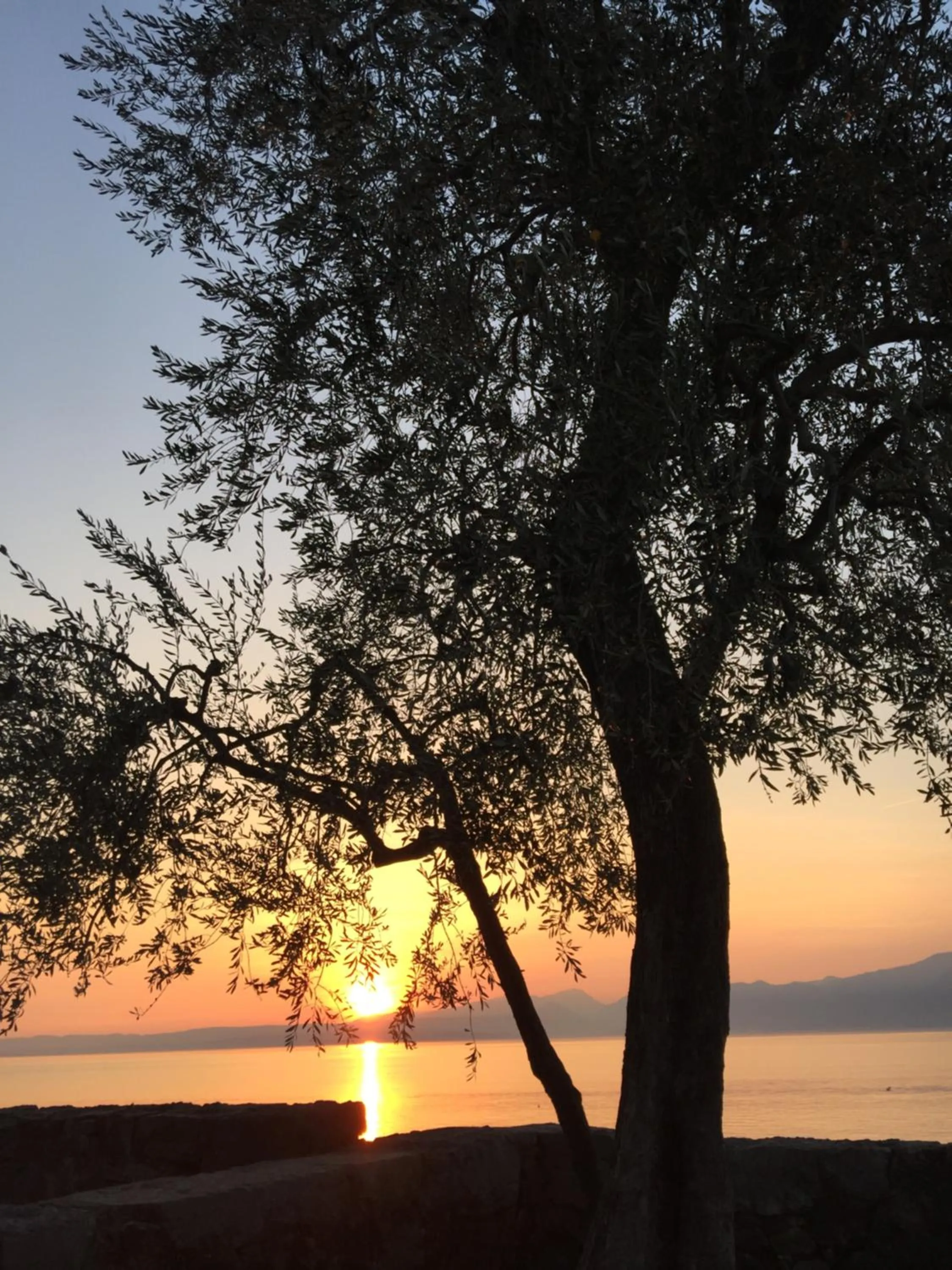 On site in Hotel Lido