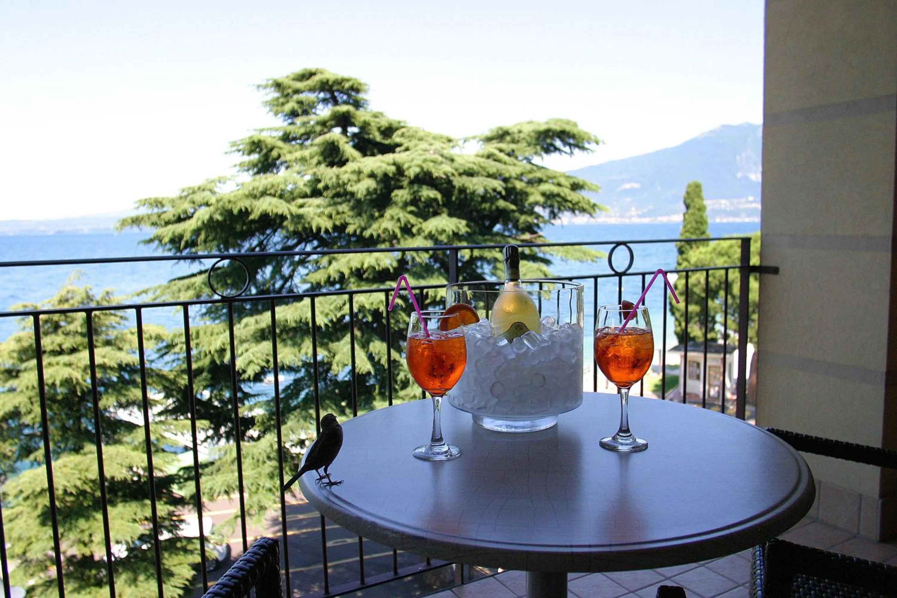 Balcony/Terrace in Hotel Lido