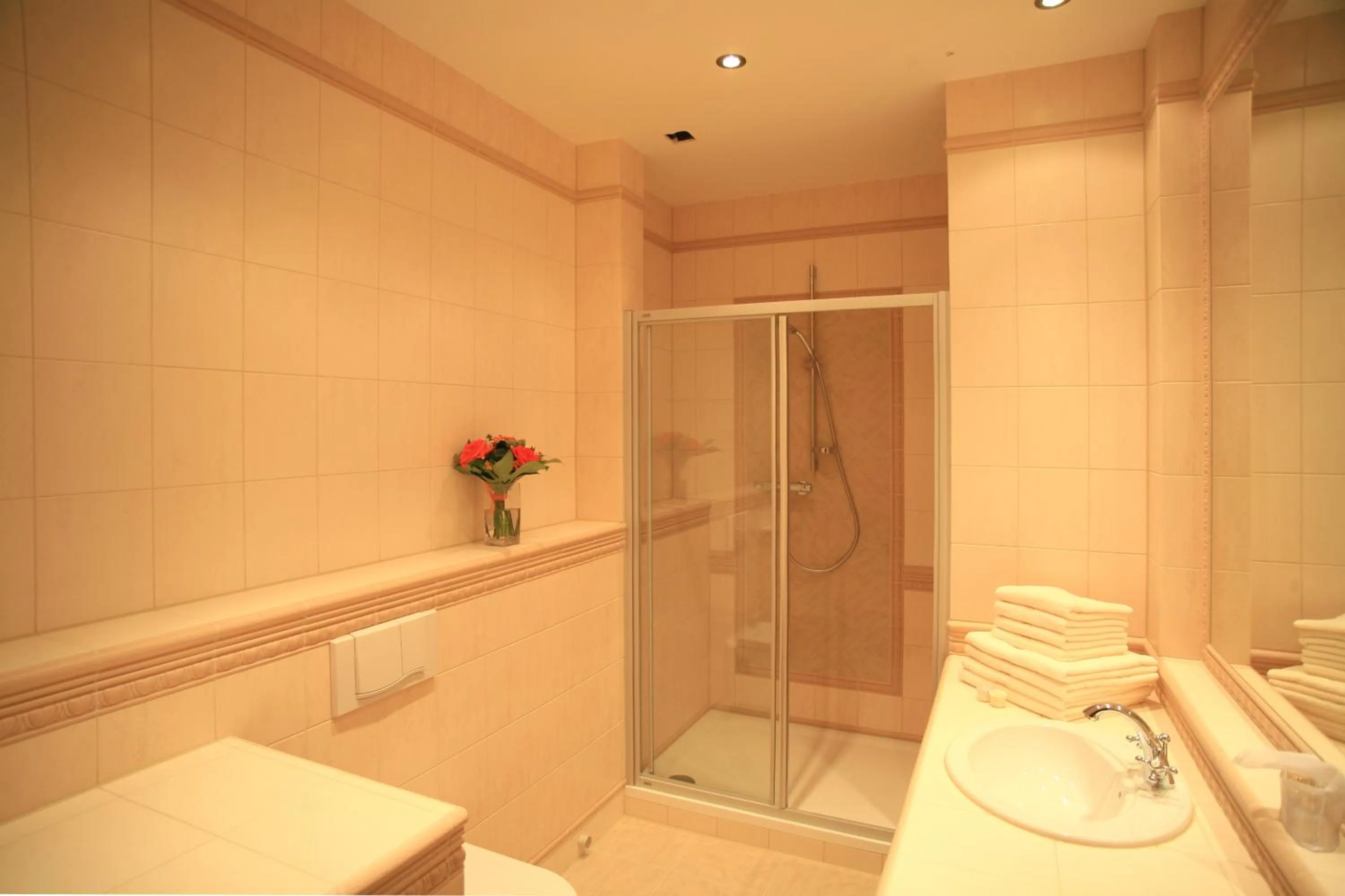 Shower in Slunecni Lazne Apartments