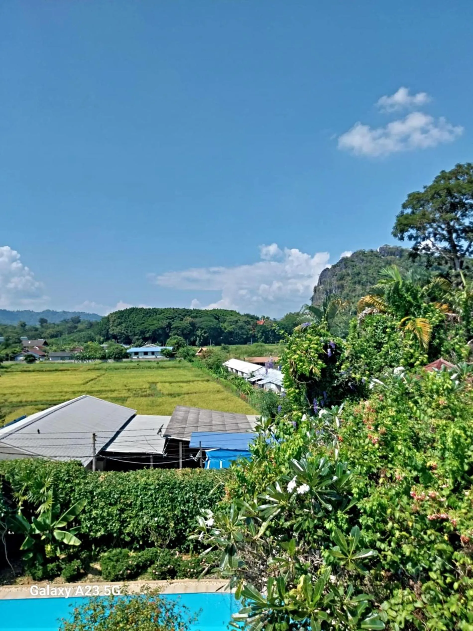 View (from property/room) in Homestay Chiangrai
