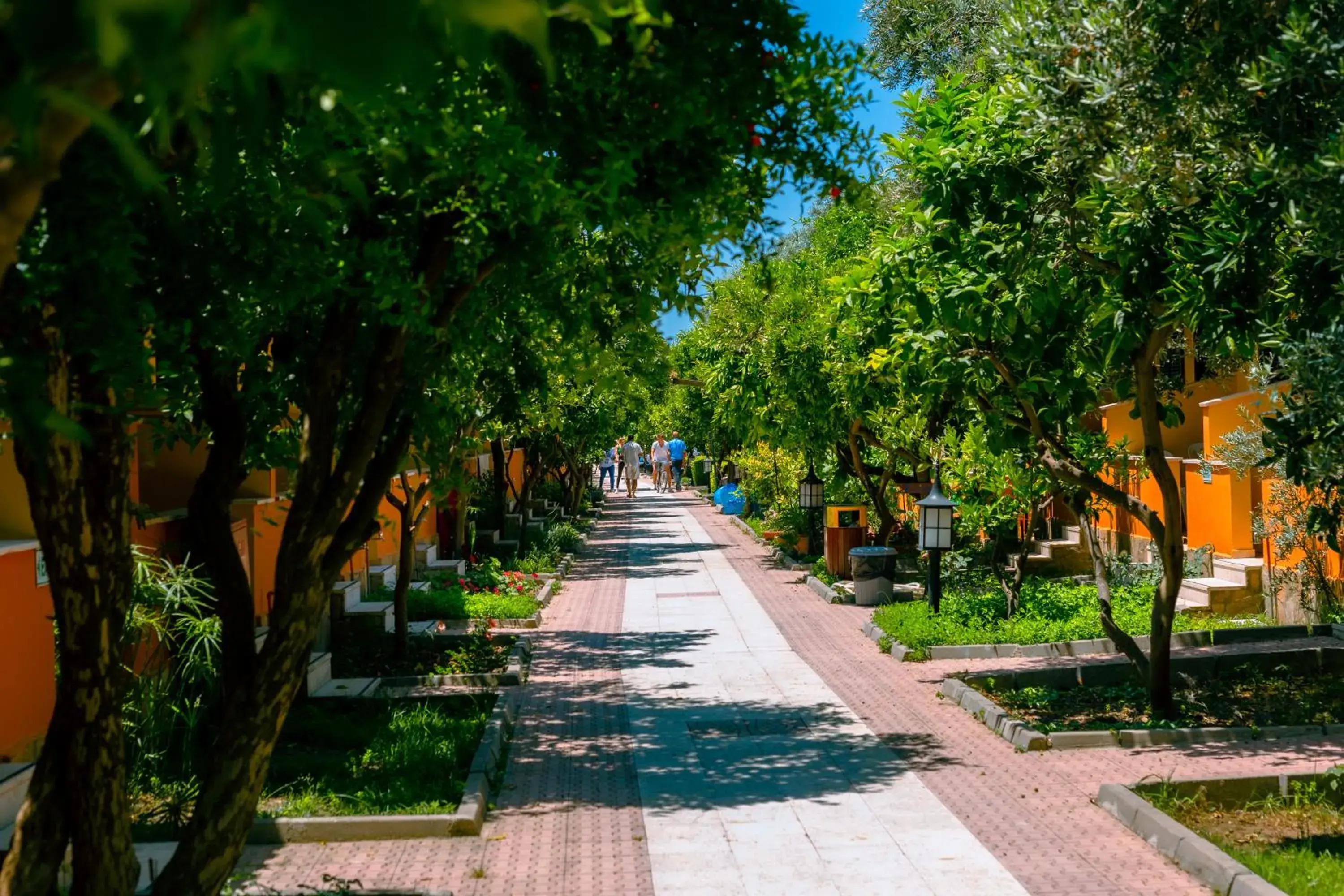 Garden in Ozlem Garden Hotel