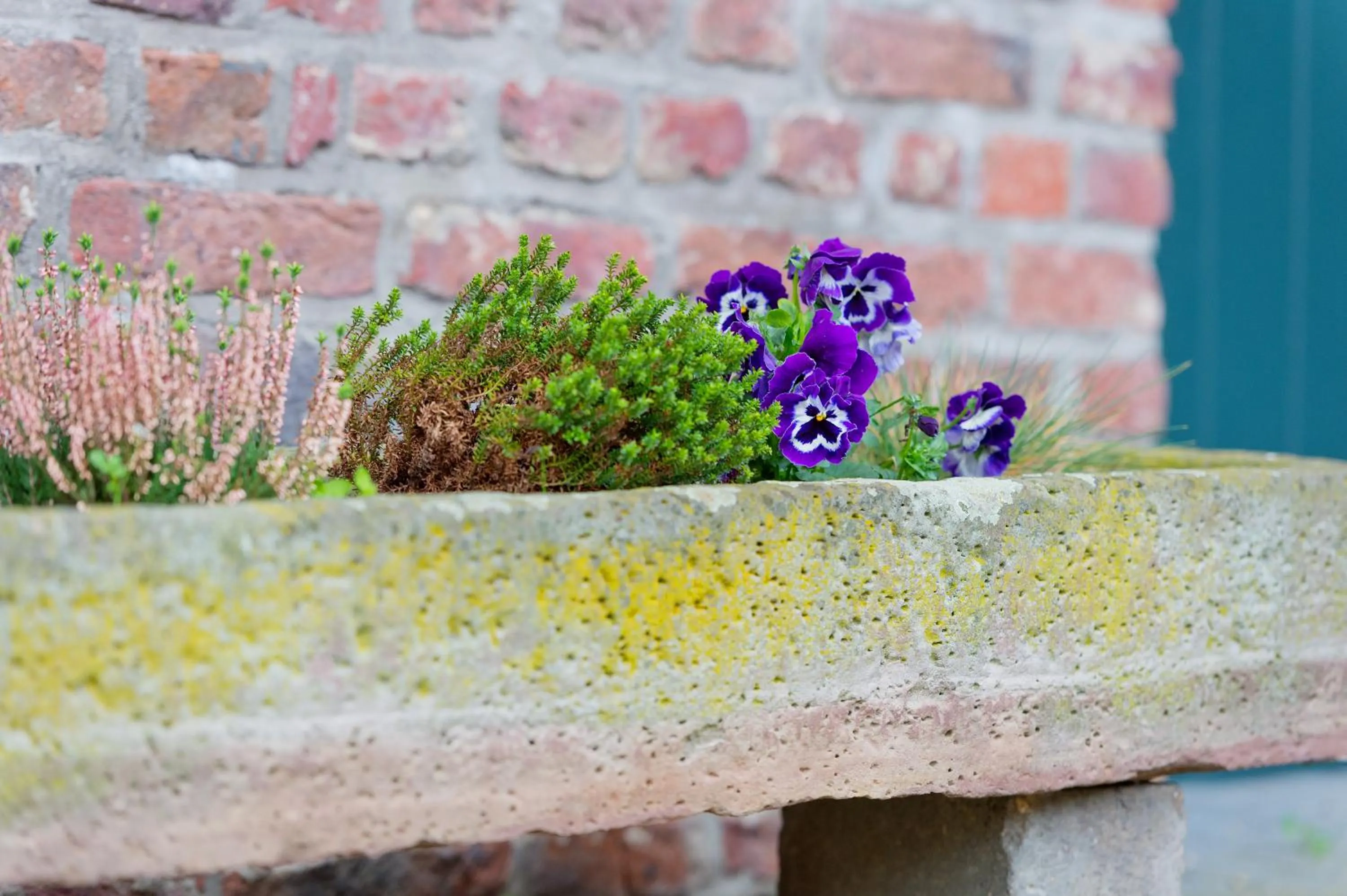 Patio in Burg Obbendorf