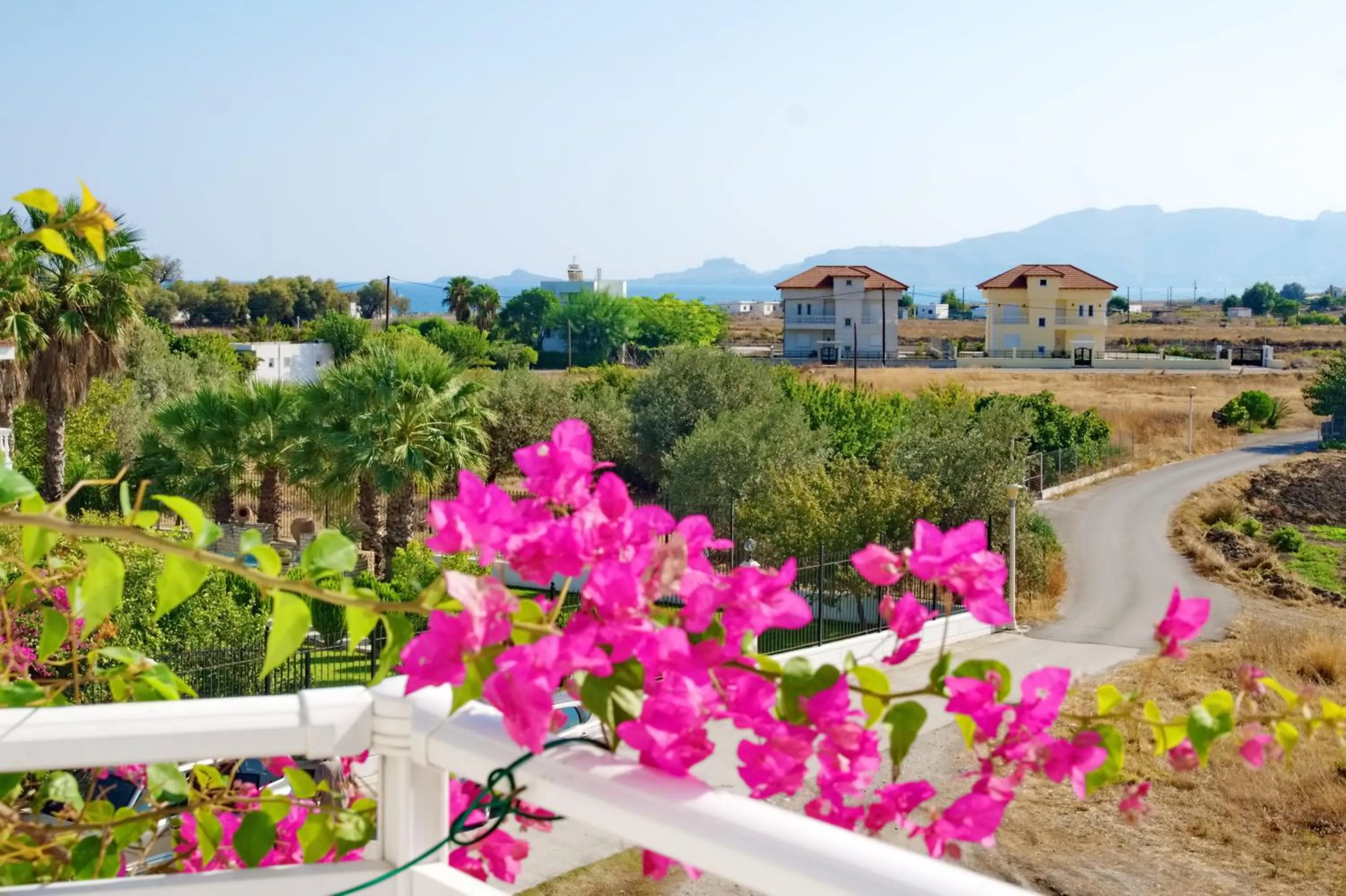 Spring in Paul's Garden Studios