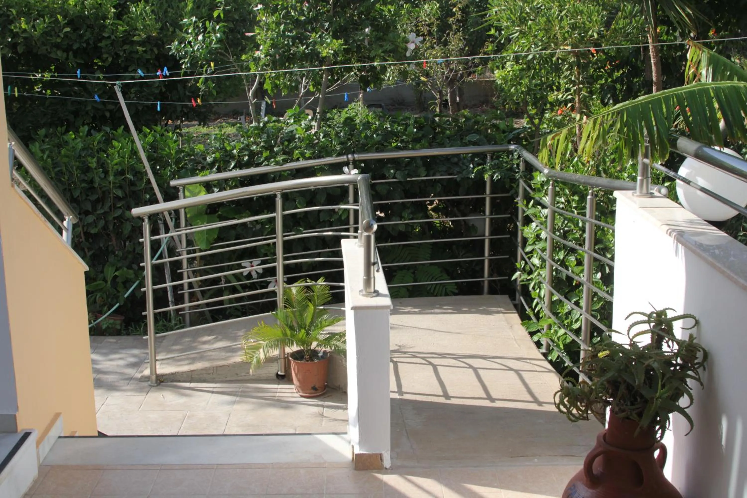 Garden in Paul's Garden Studios