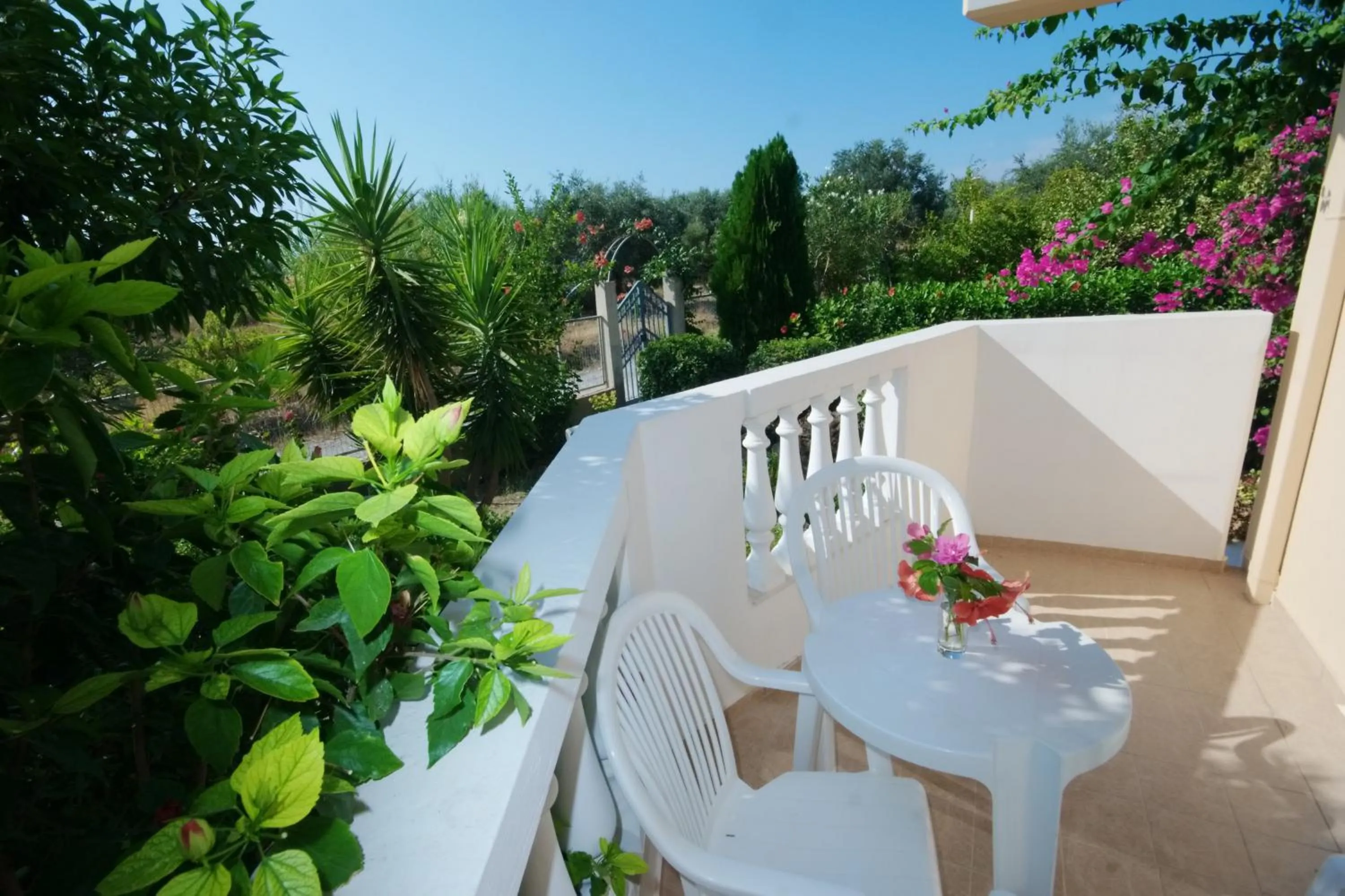 Patio in Paul's Garden Studios