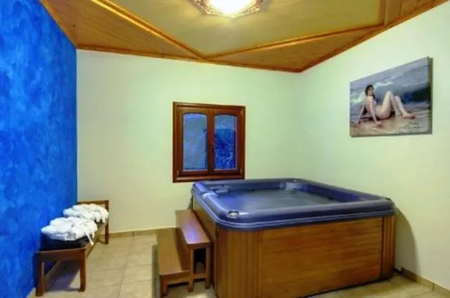 Spa and wellness centre/facilities in Guesthouse Theareston