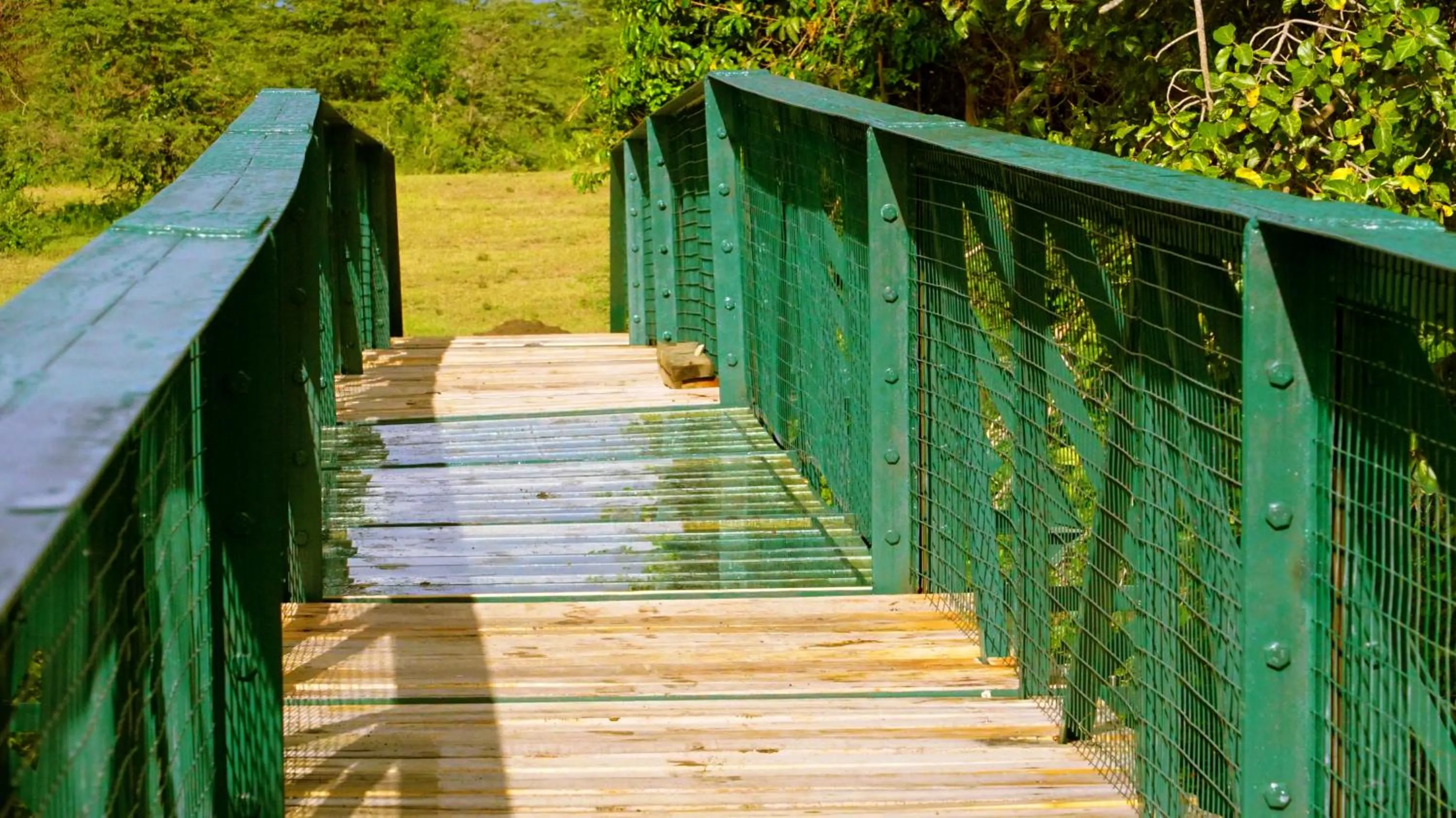 Balcony/Terrace in PrideInn Mara Camp & Cottages