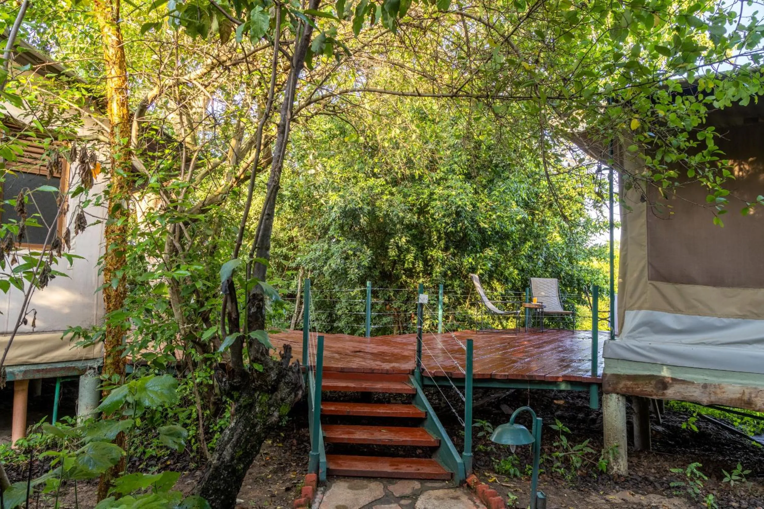 Natural landscape in PrideInn Mara Camp & Cottages