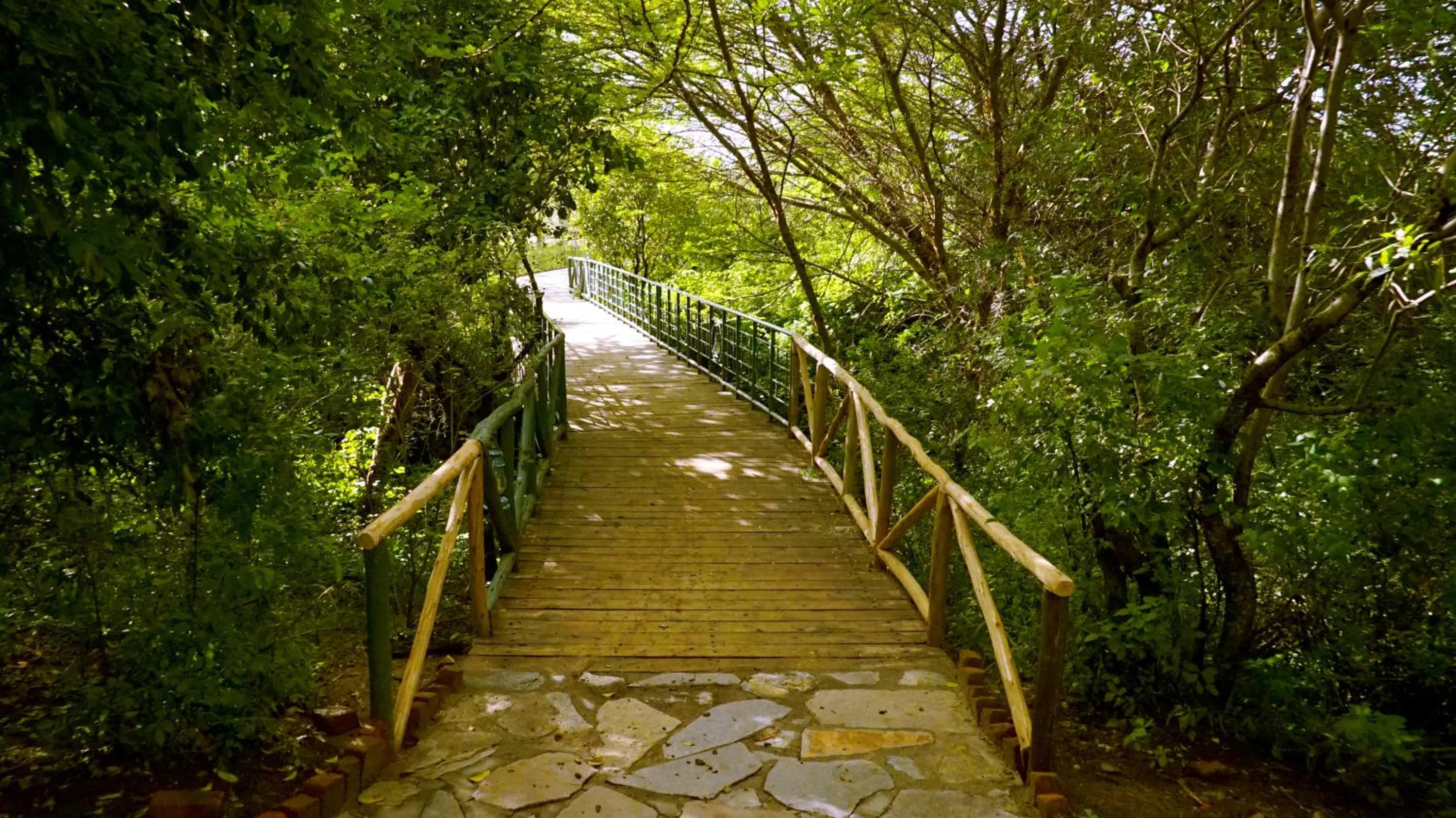 Garden in PrideInn Mara Camp & Cottages