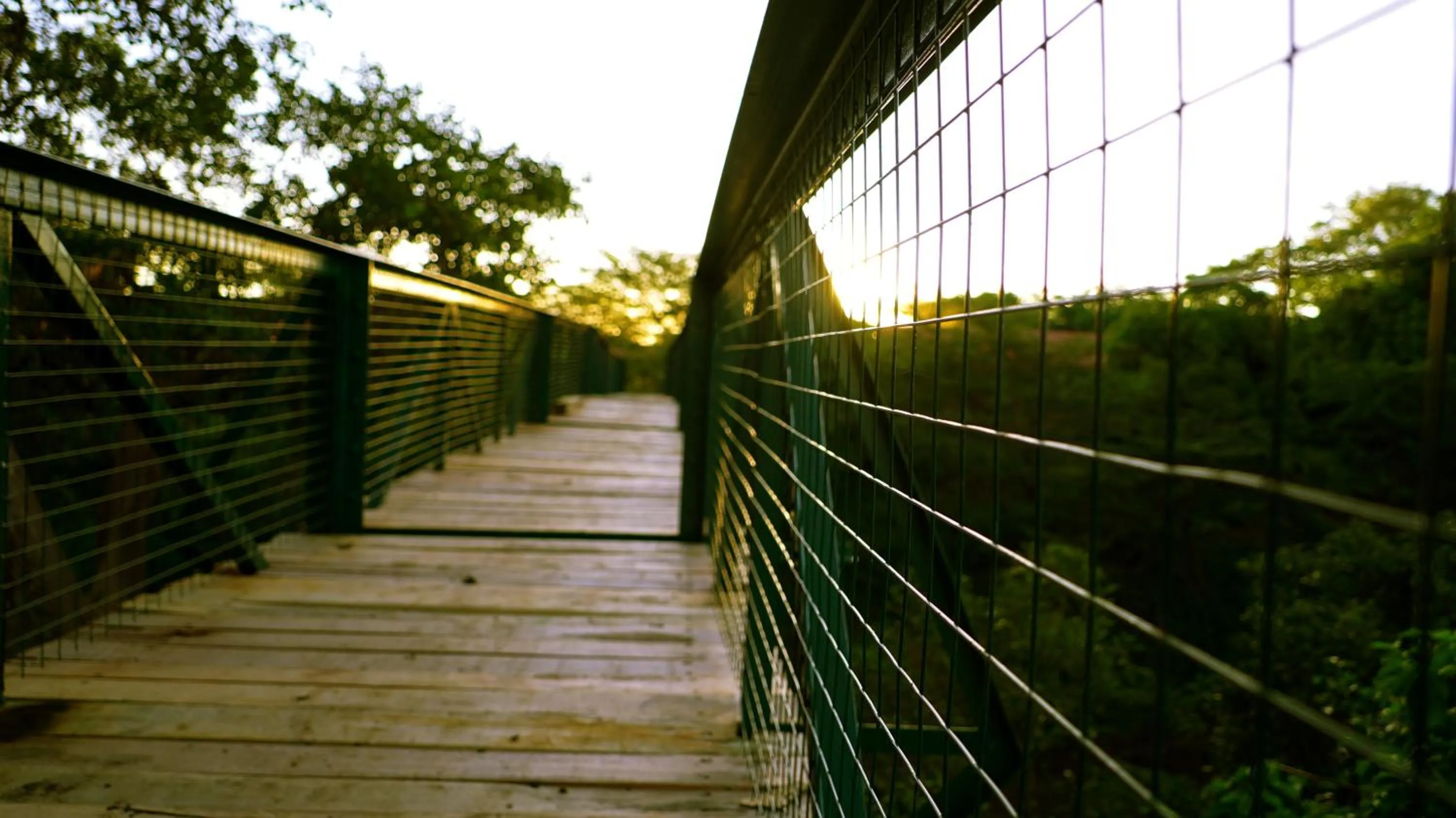 Sunrise in PrideInn Mara Camp & Cottages