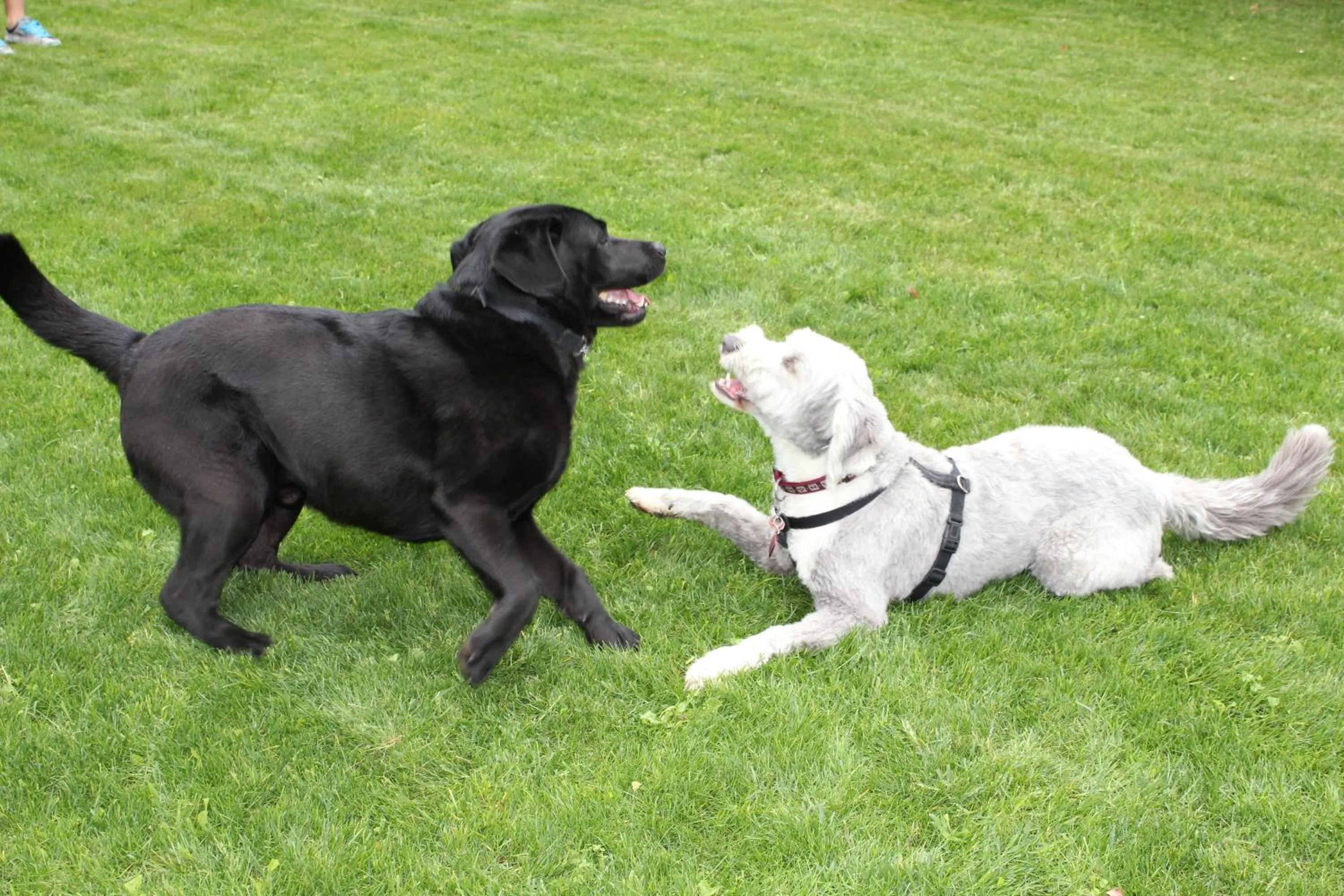 Day in Hotel Angelini