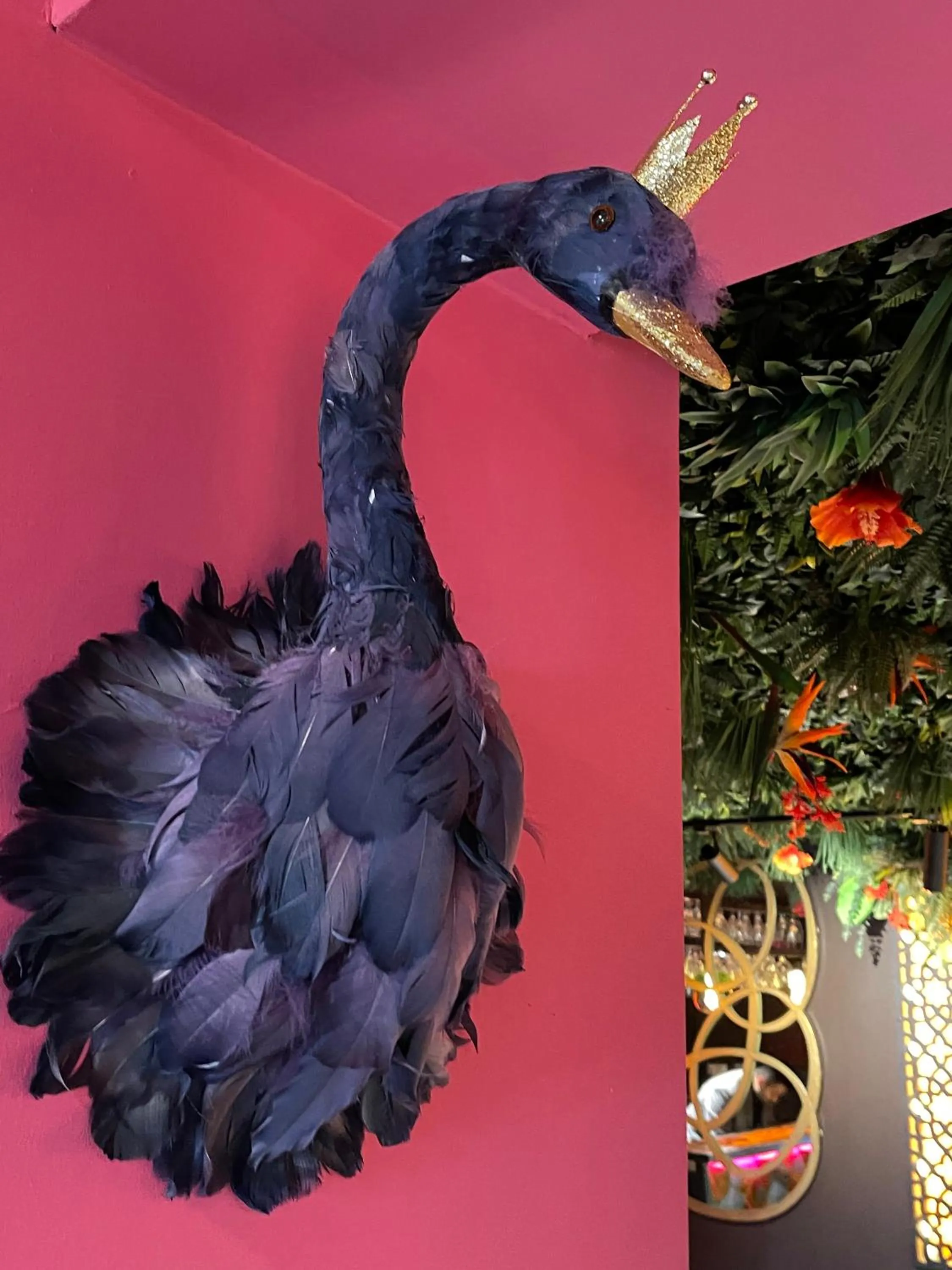 Restaurant/places to eat in Hotel Balmoral