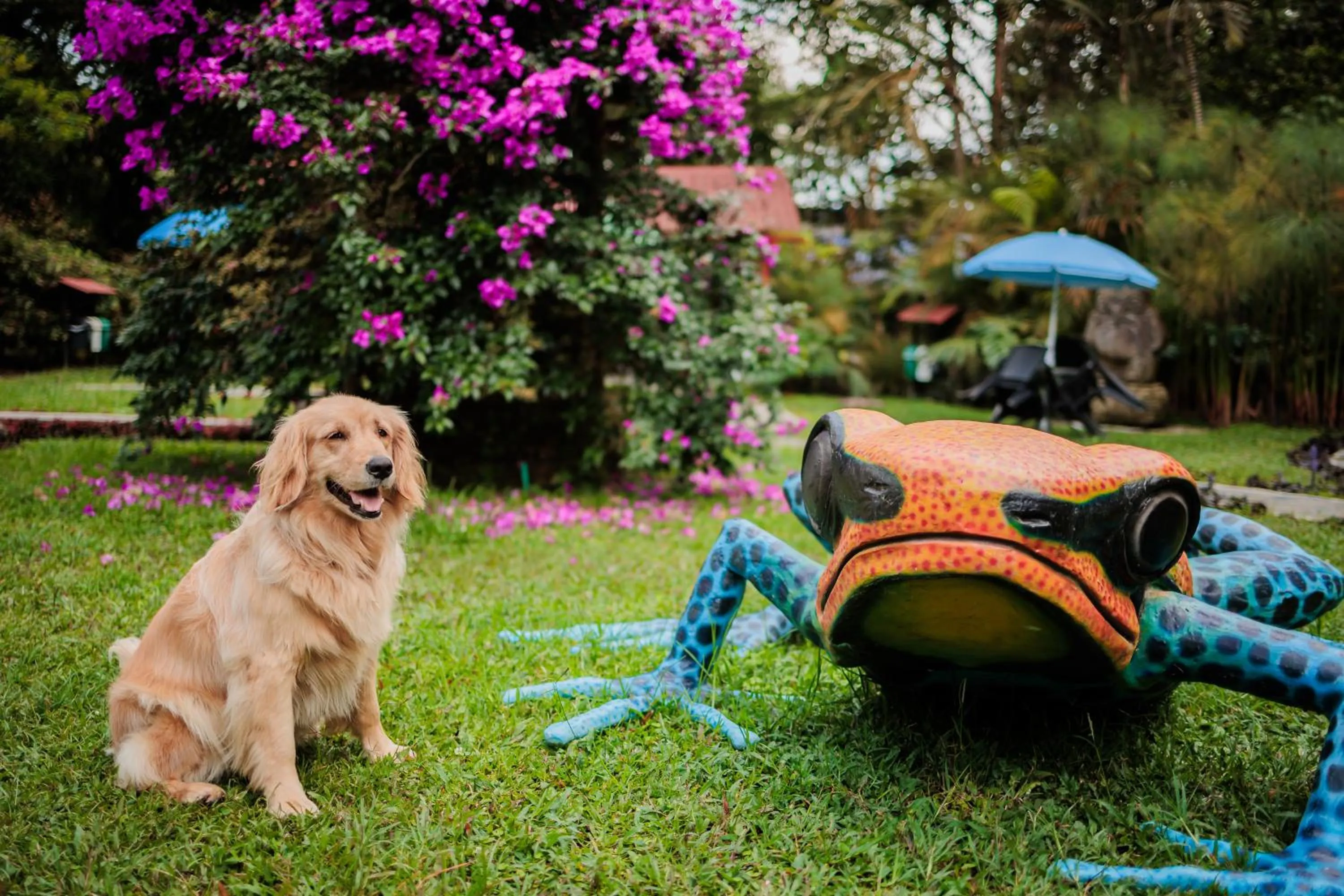 Animals in Ecohotel Piedemonte