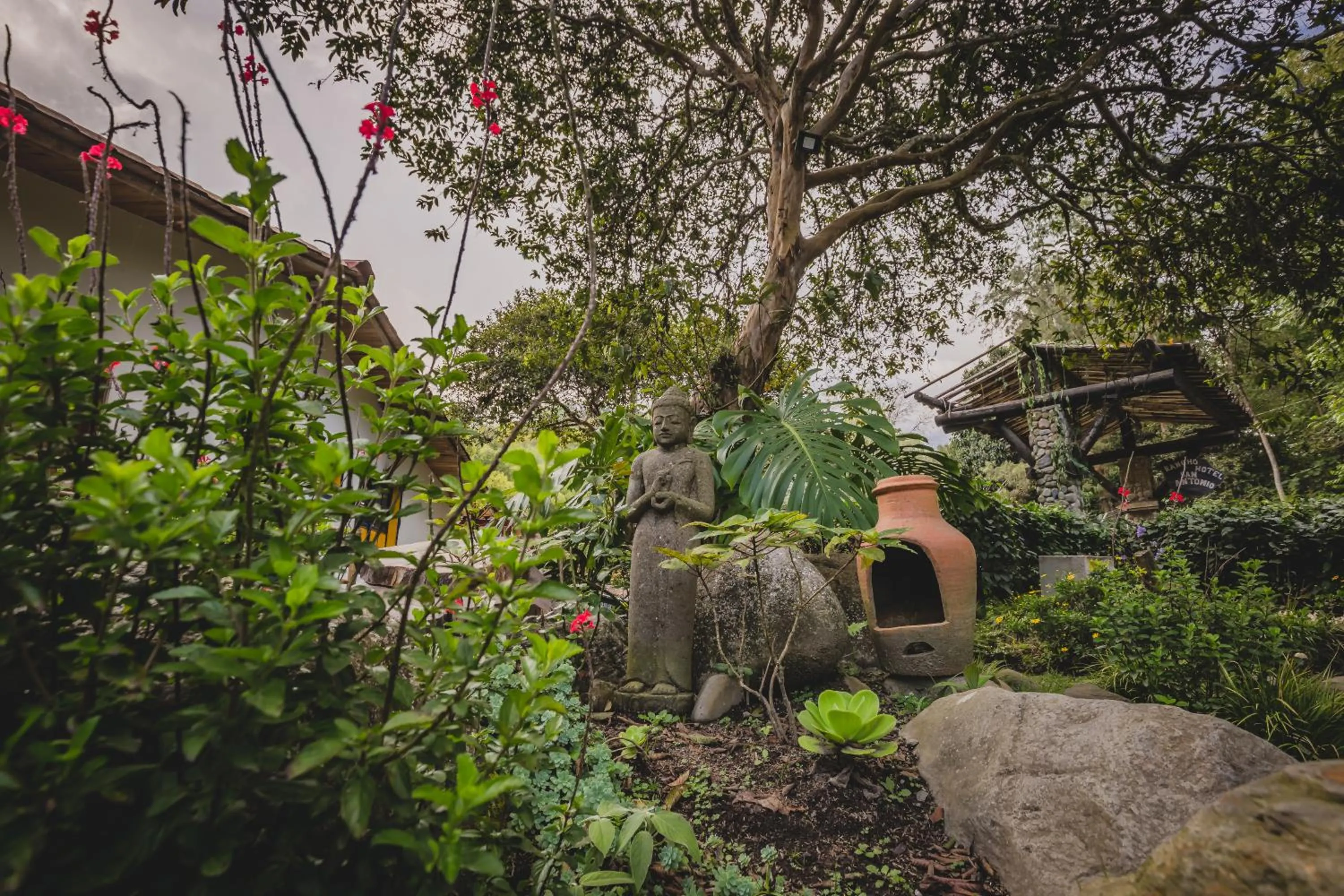 Natural landscape in Ecohotel Piedemonte