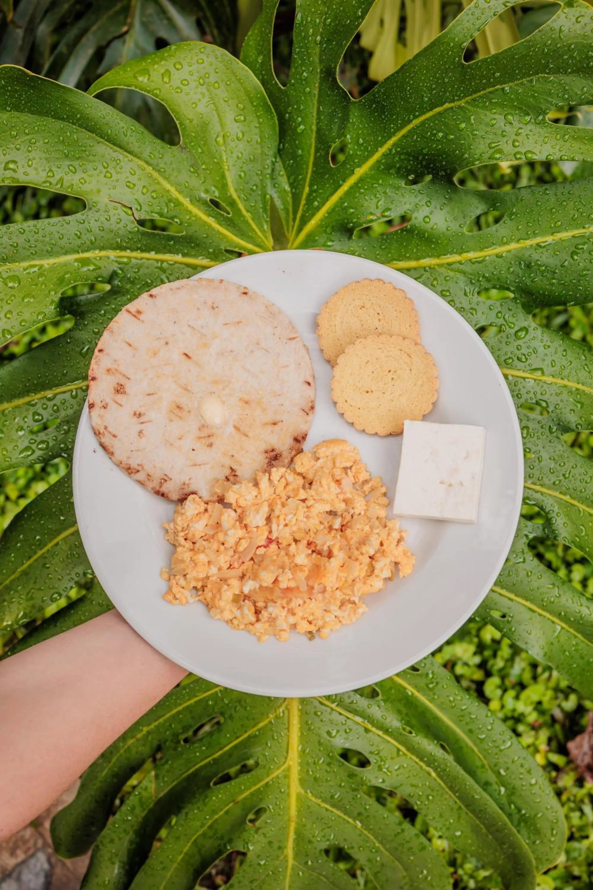 Breakfast in Ecohotel Piedemonte