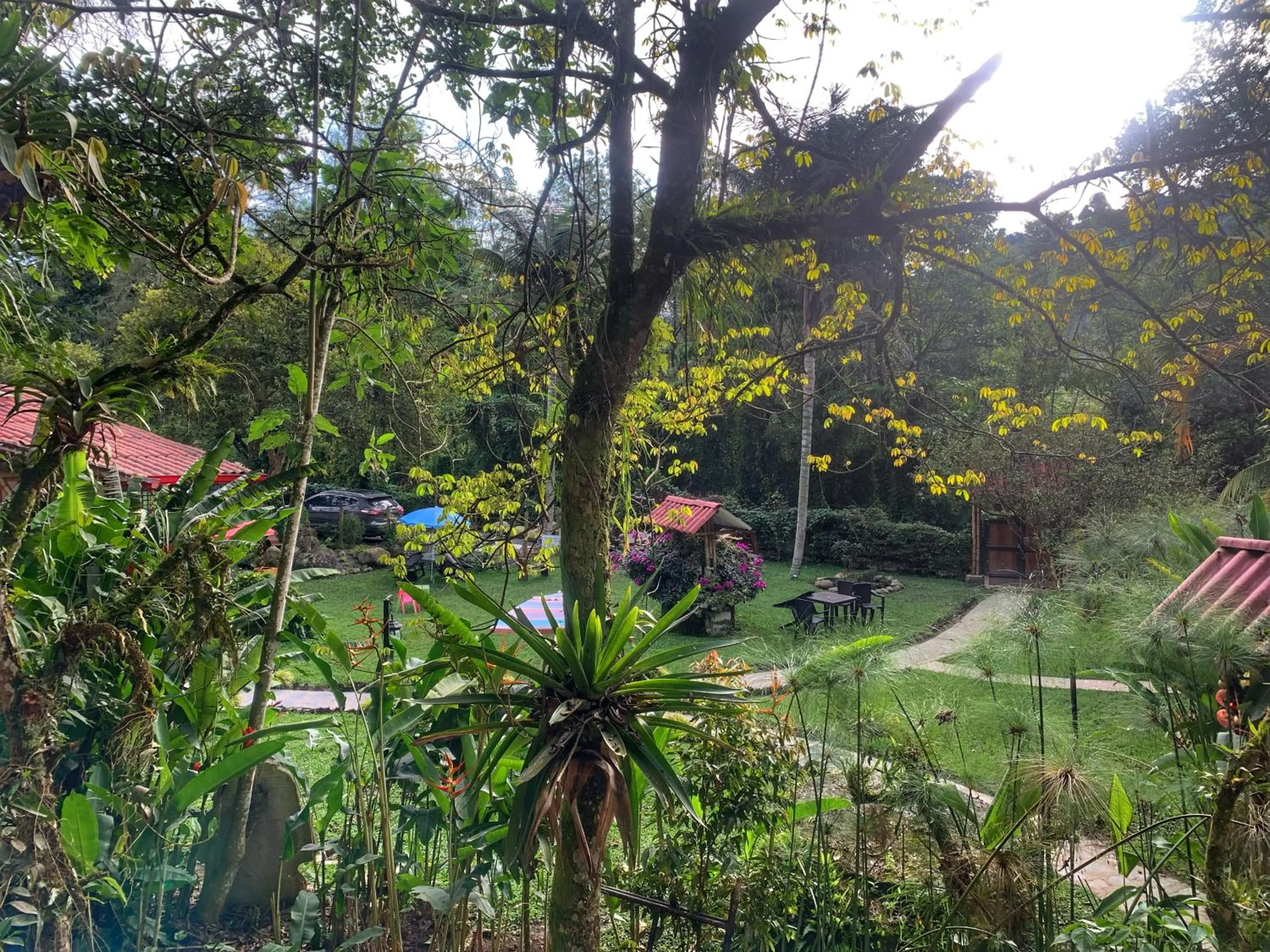 Garden in Ecohotel Piedemonte