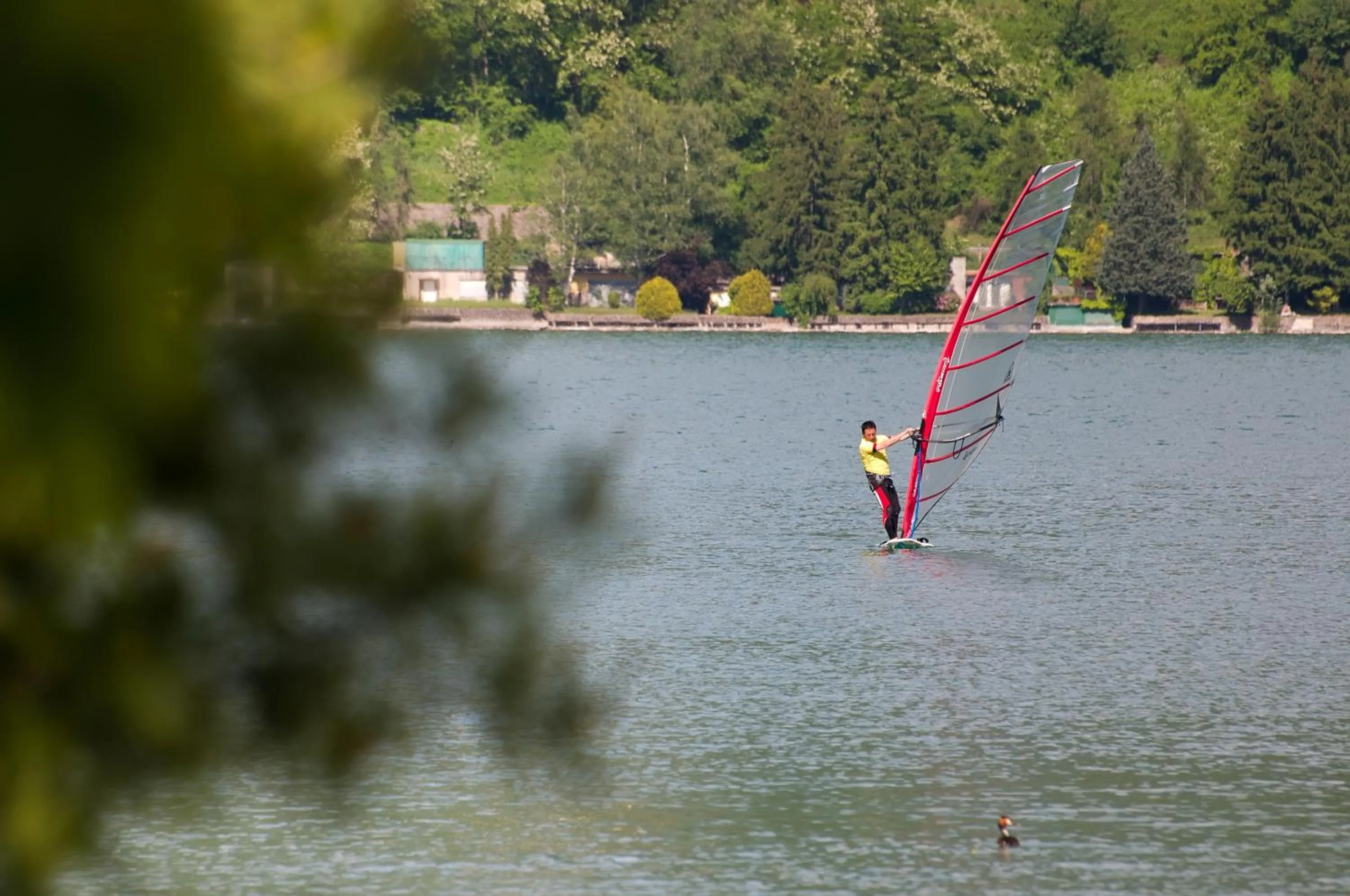 Windsurfing in Energy Hotel