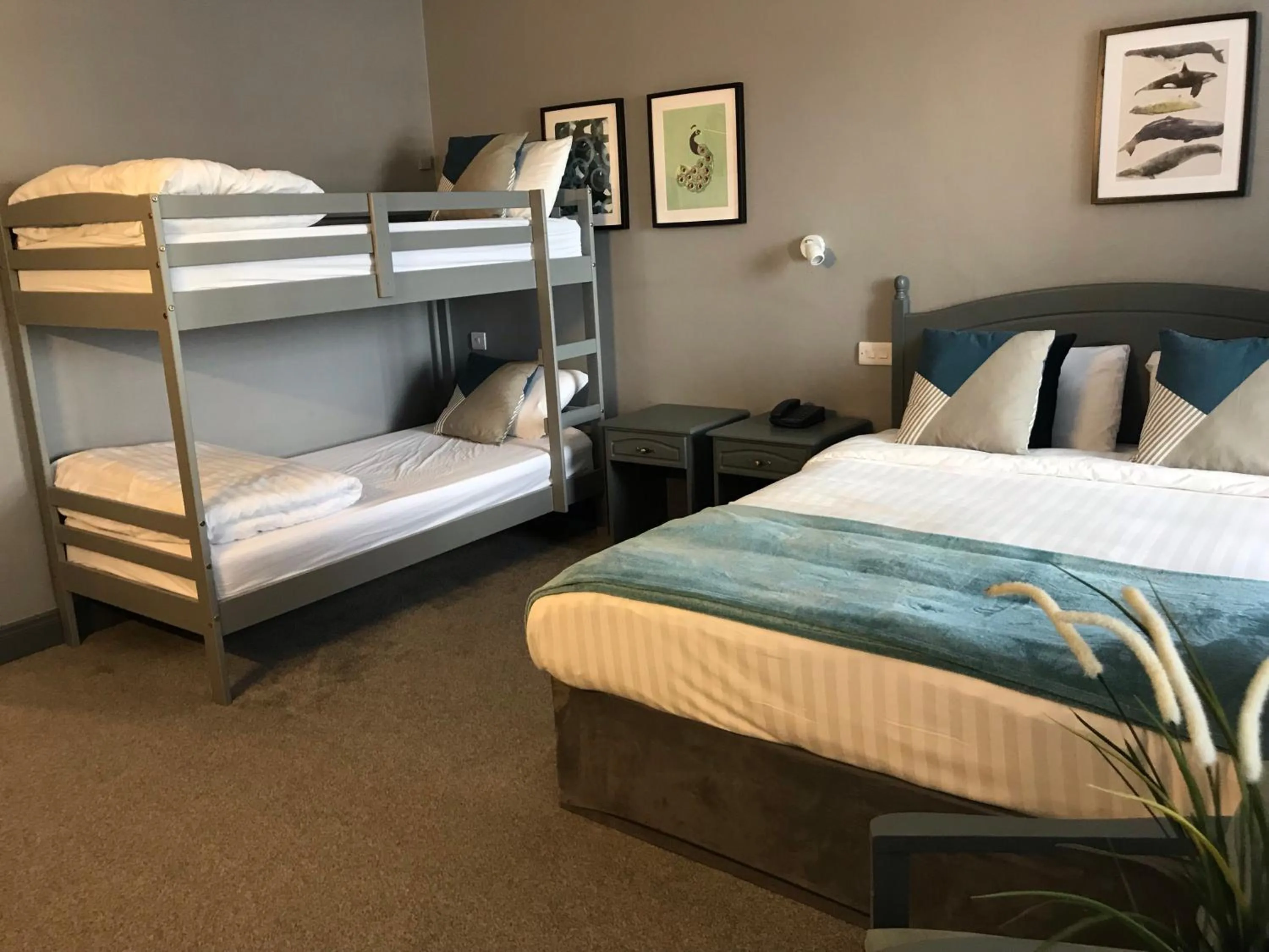 Bedroom in Coast Rosslare Strand