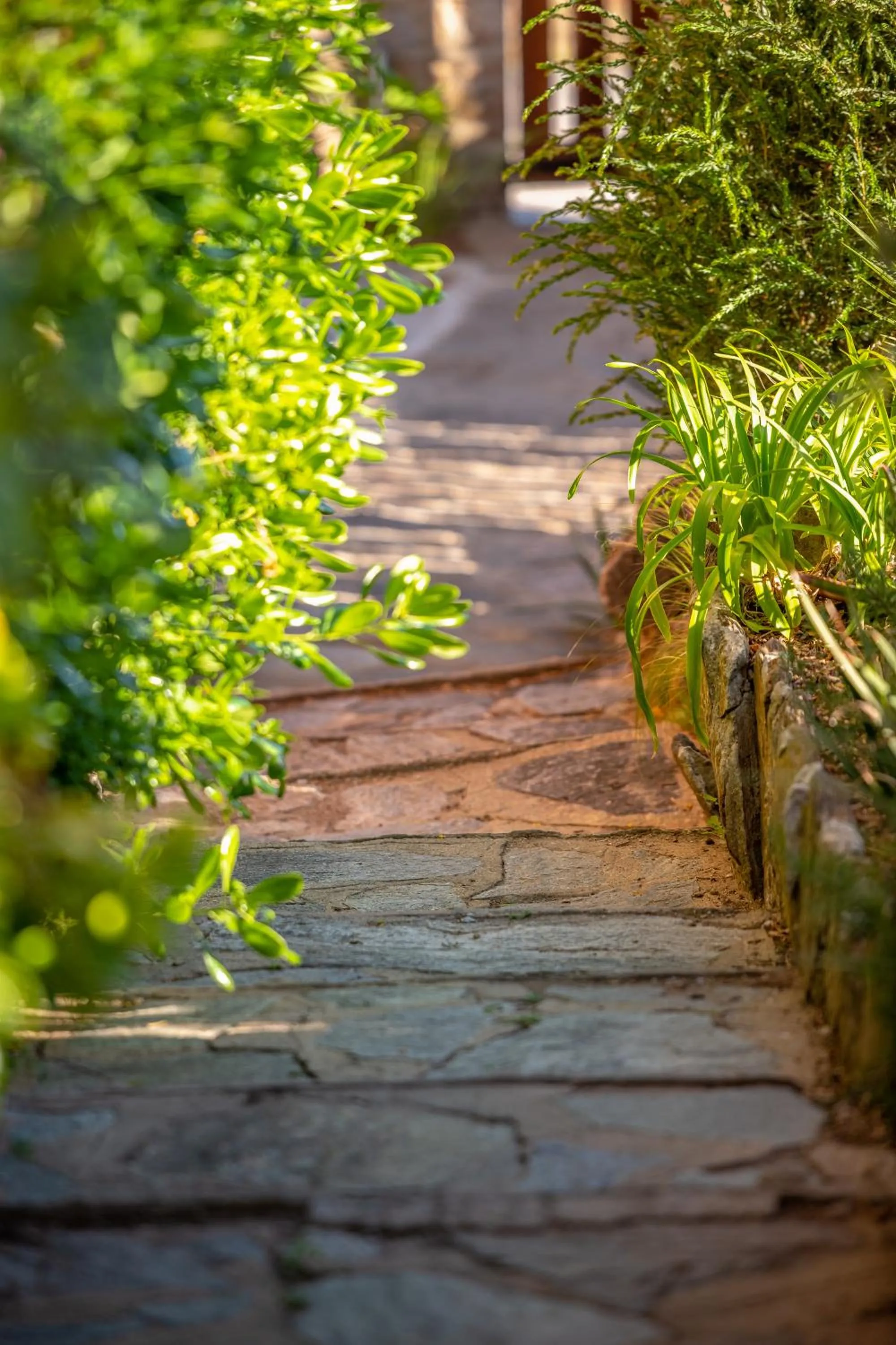Natural landscape in Les Terrasses du Bailli