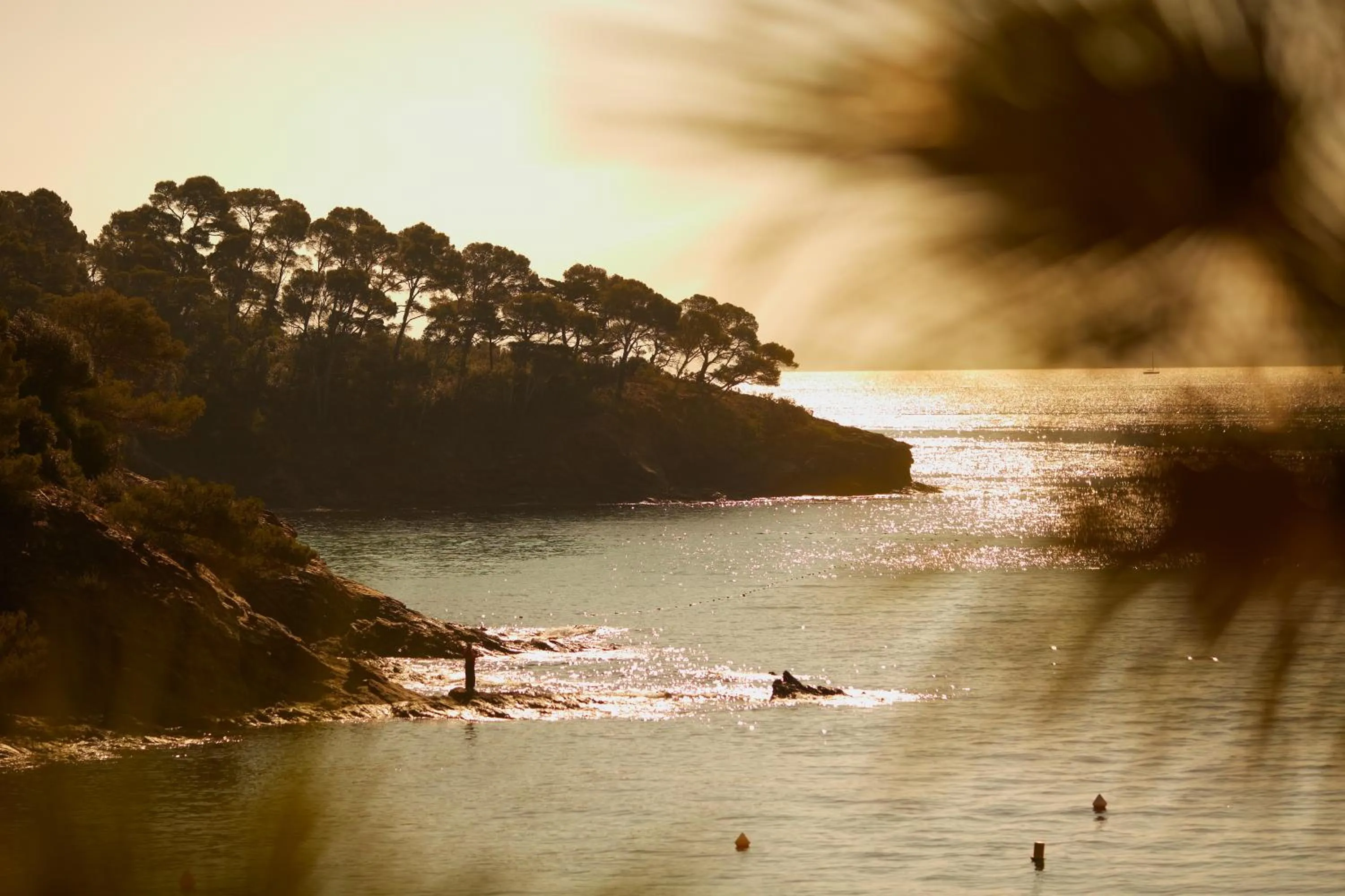 Nearby landmark in Les Terrasses du Bailli