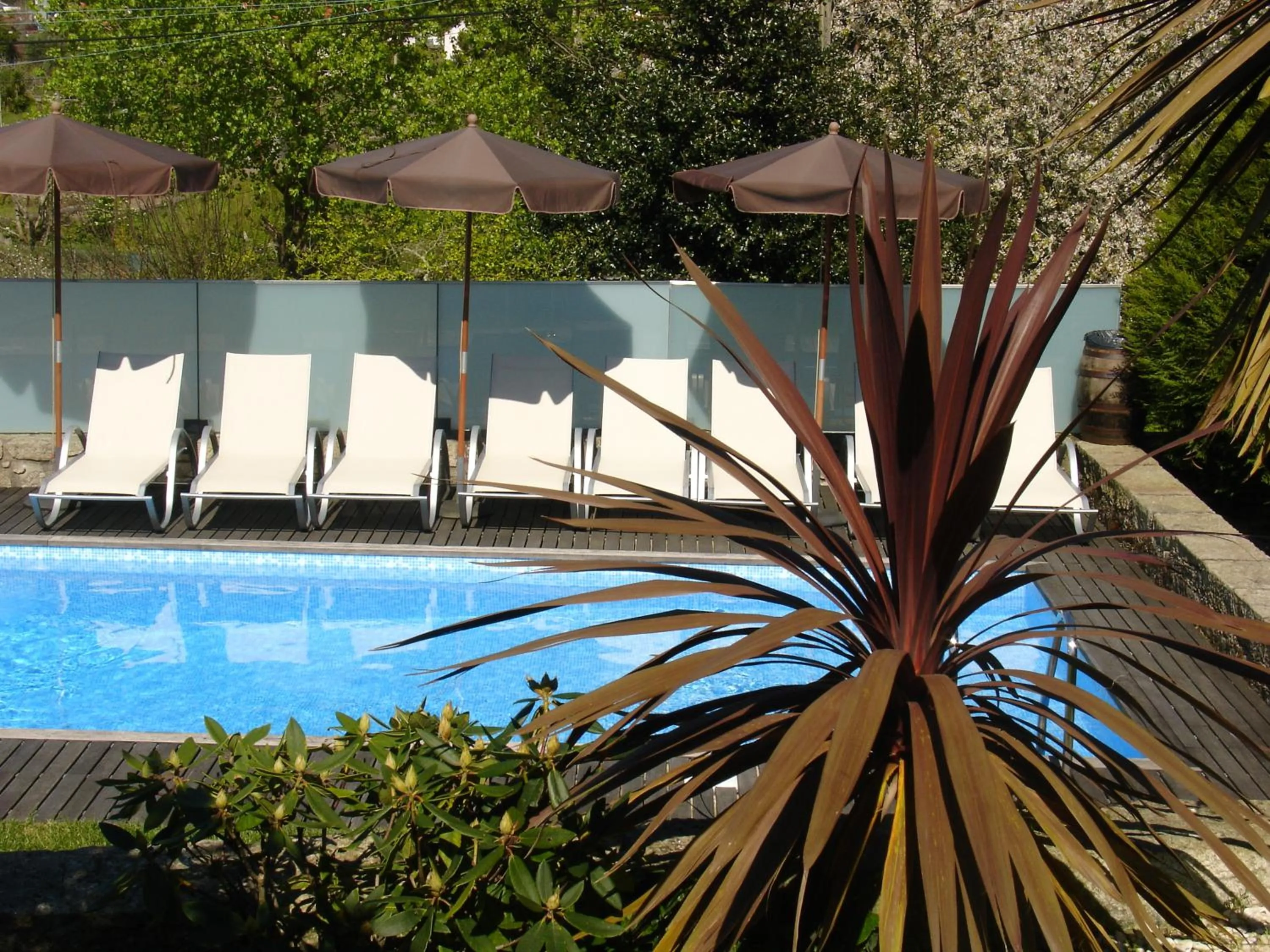 Swimming pool in Casa D' Joao Enes - Afife Residence
