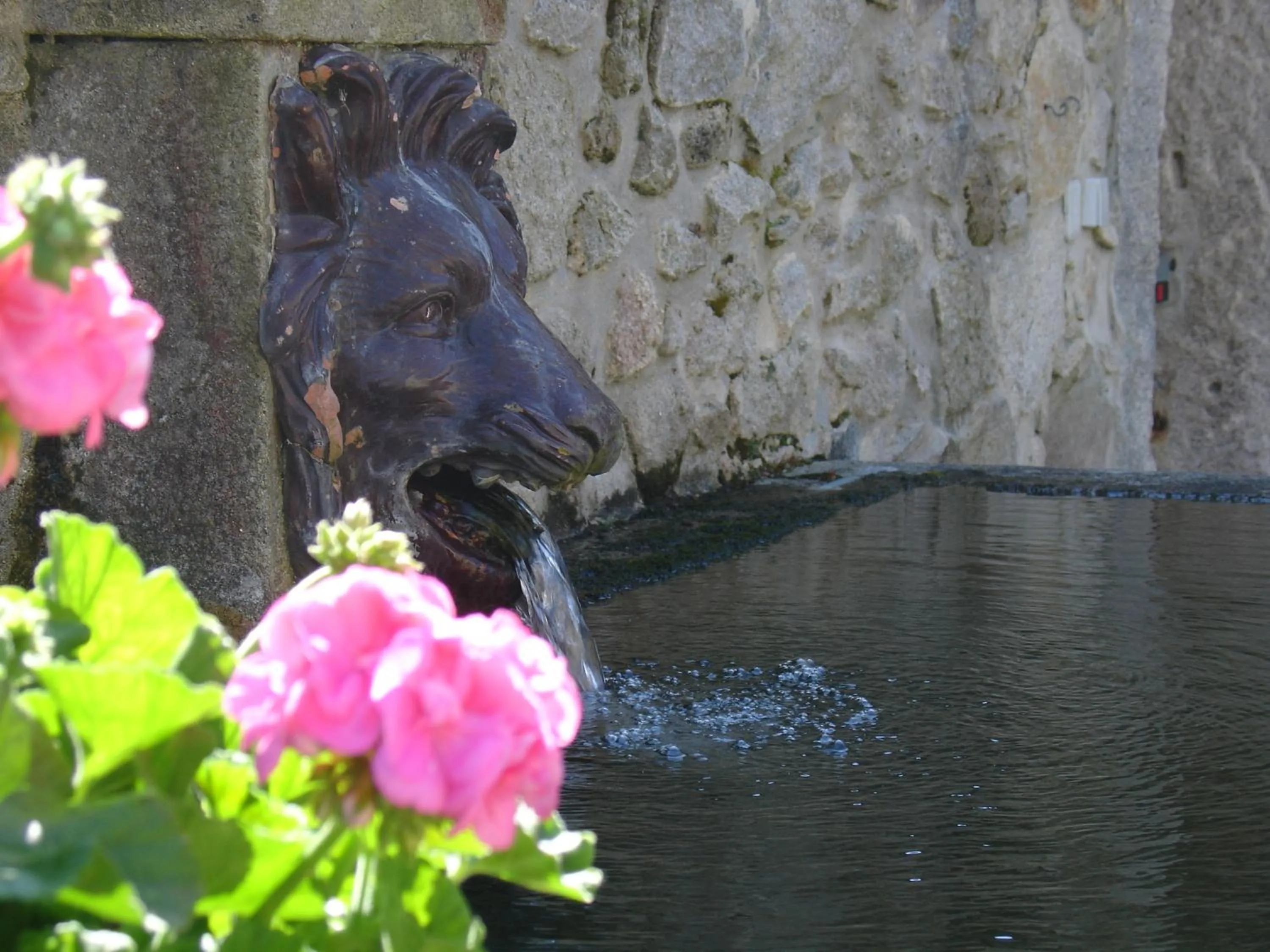 Other in Casa D' Joao Enes - Afife Residence