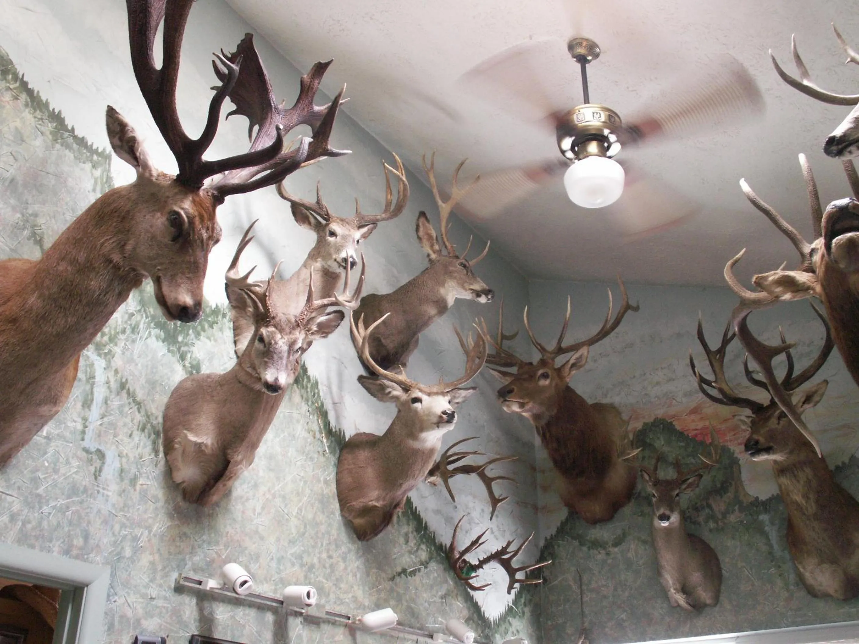 Decorative detail in Whitebird Summit Lodge