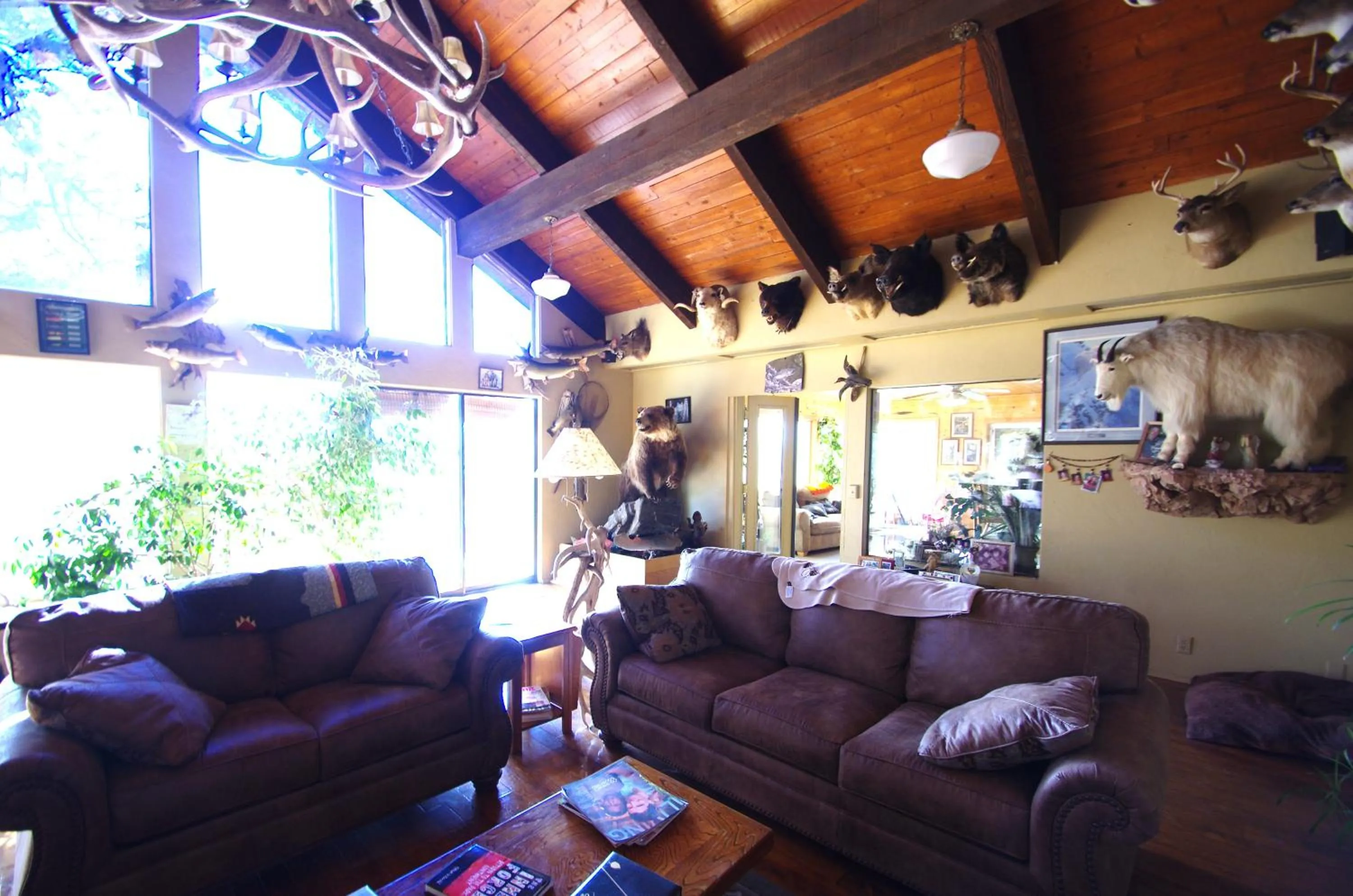 Living room in Whitebird Summit Lodge