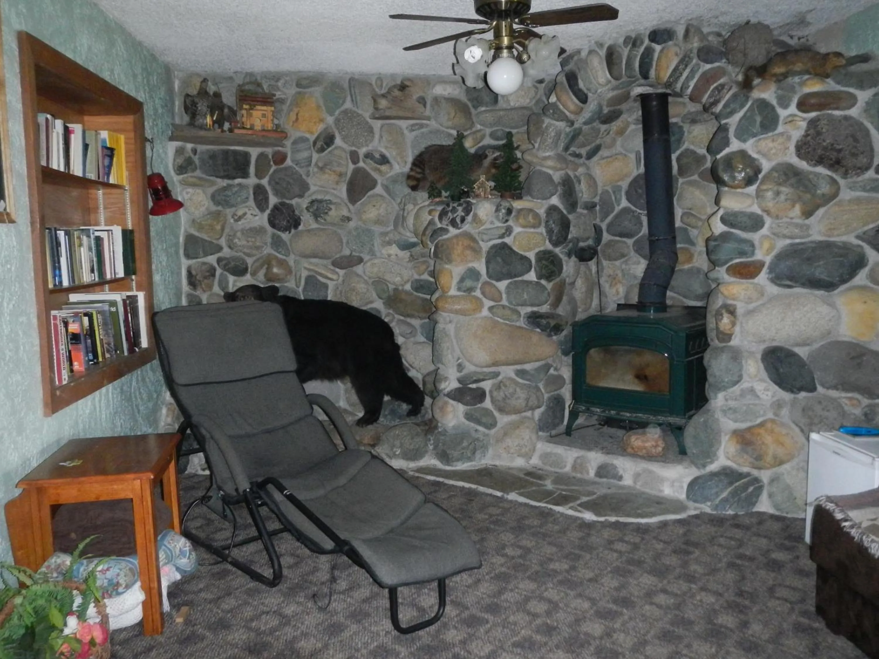 Library in Whitebird Summit Lodge