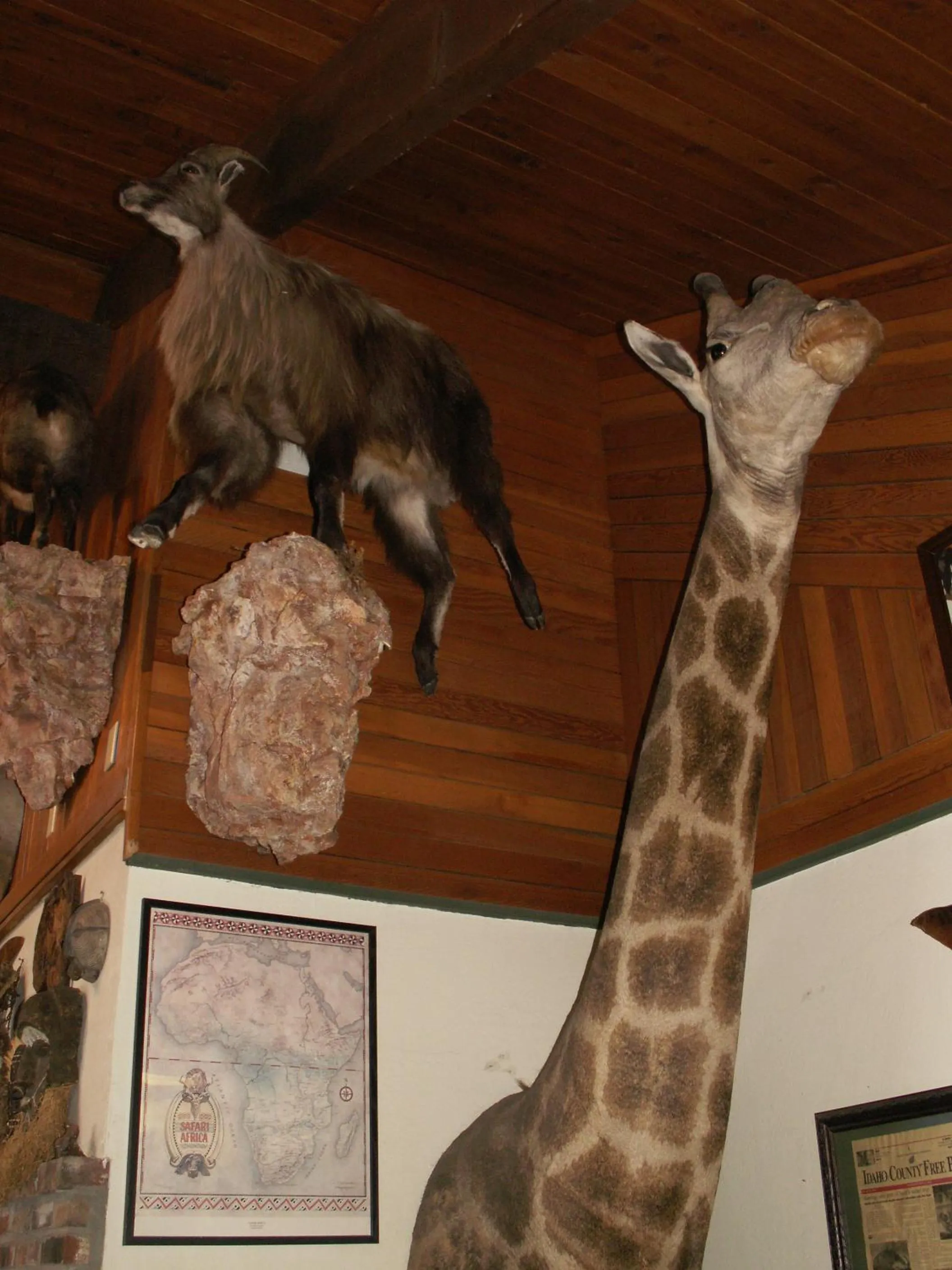 Decorative detail in Whitebird Summit Lodge