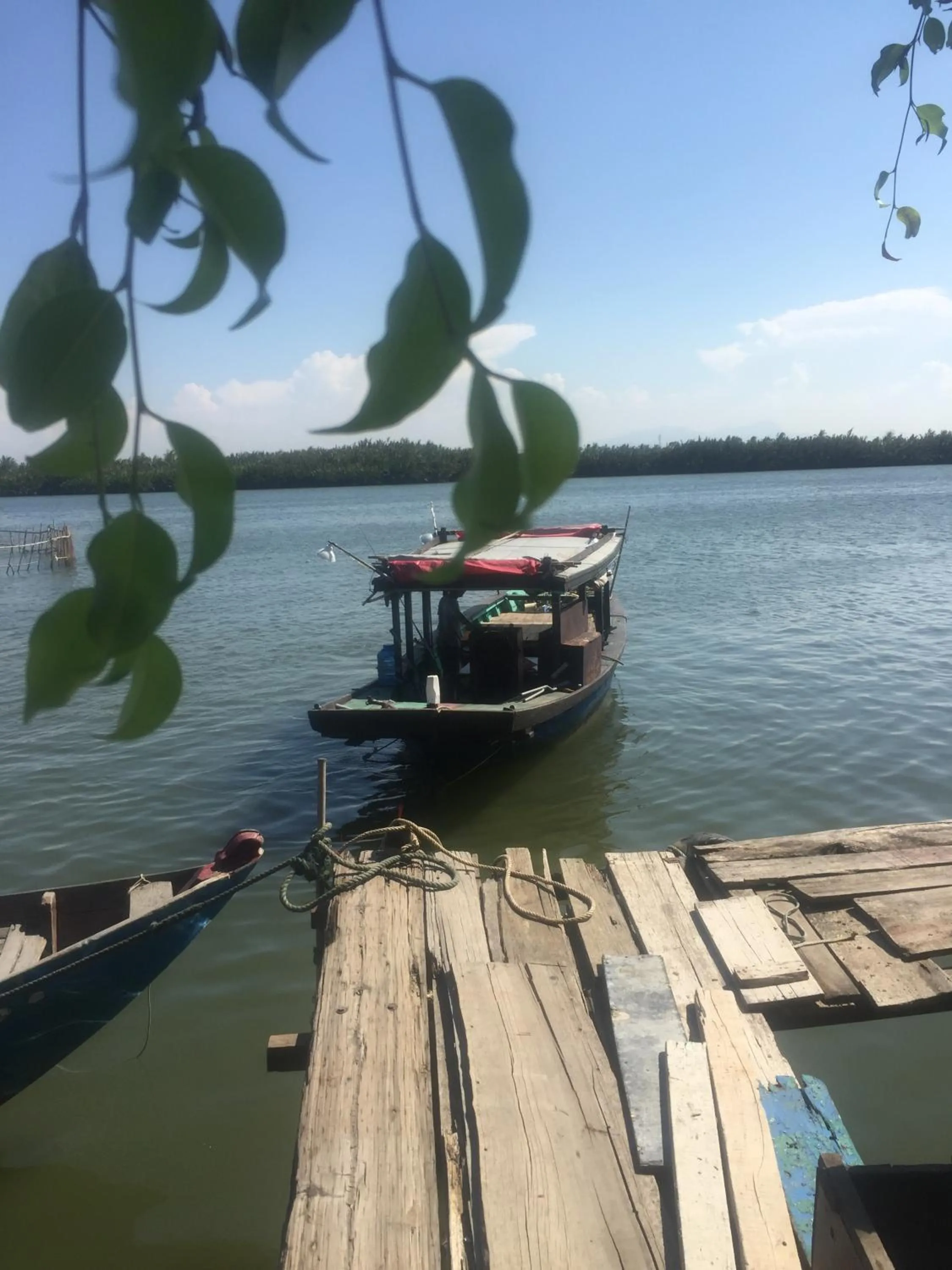 View (from property/room) in Hoi An beach house
