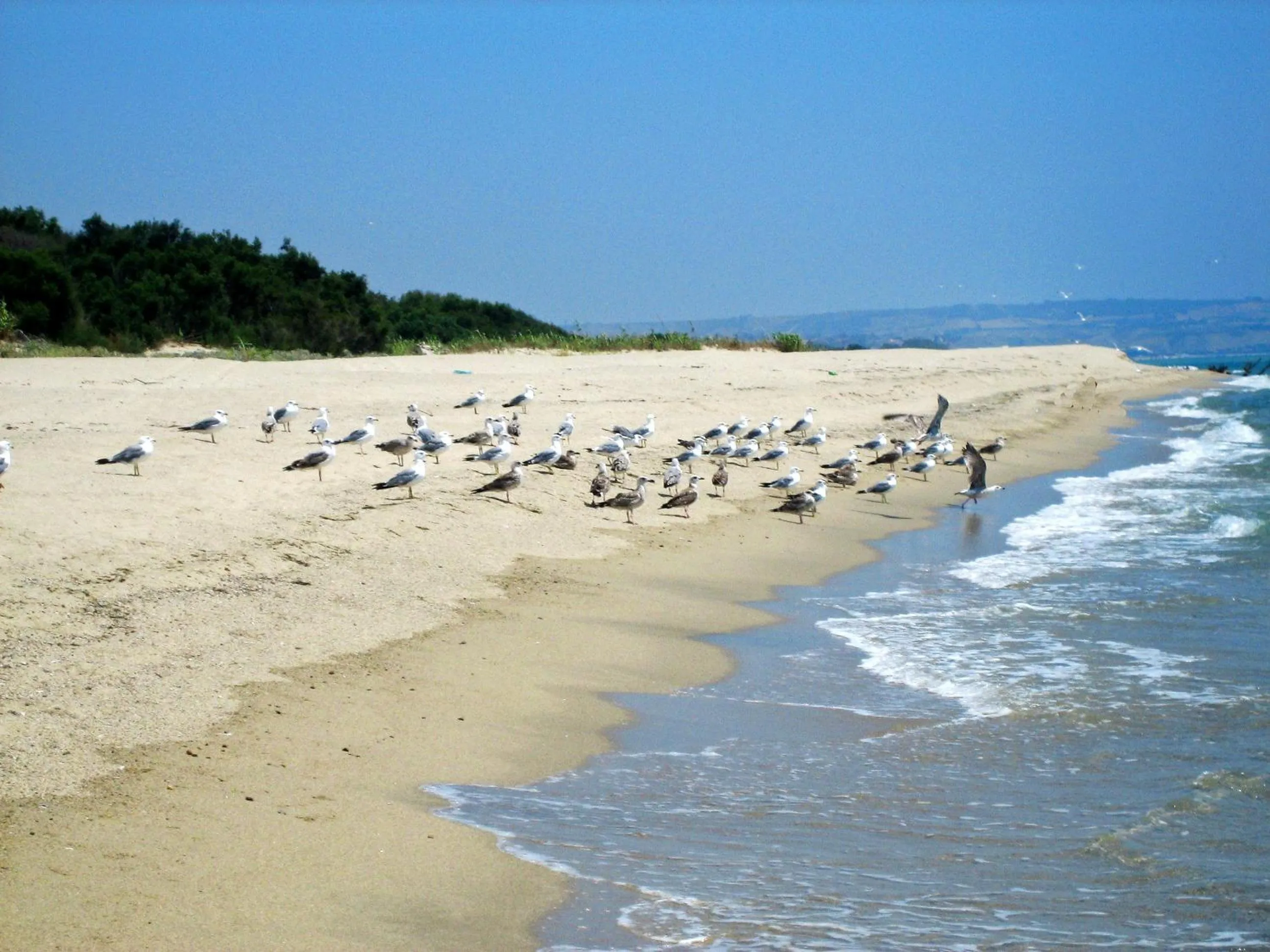 Beach in Hotel Onda Bleu