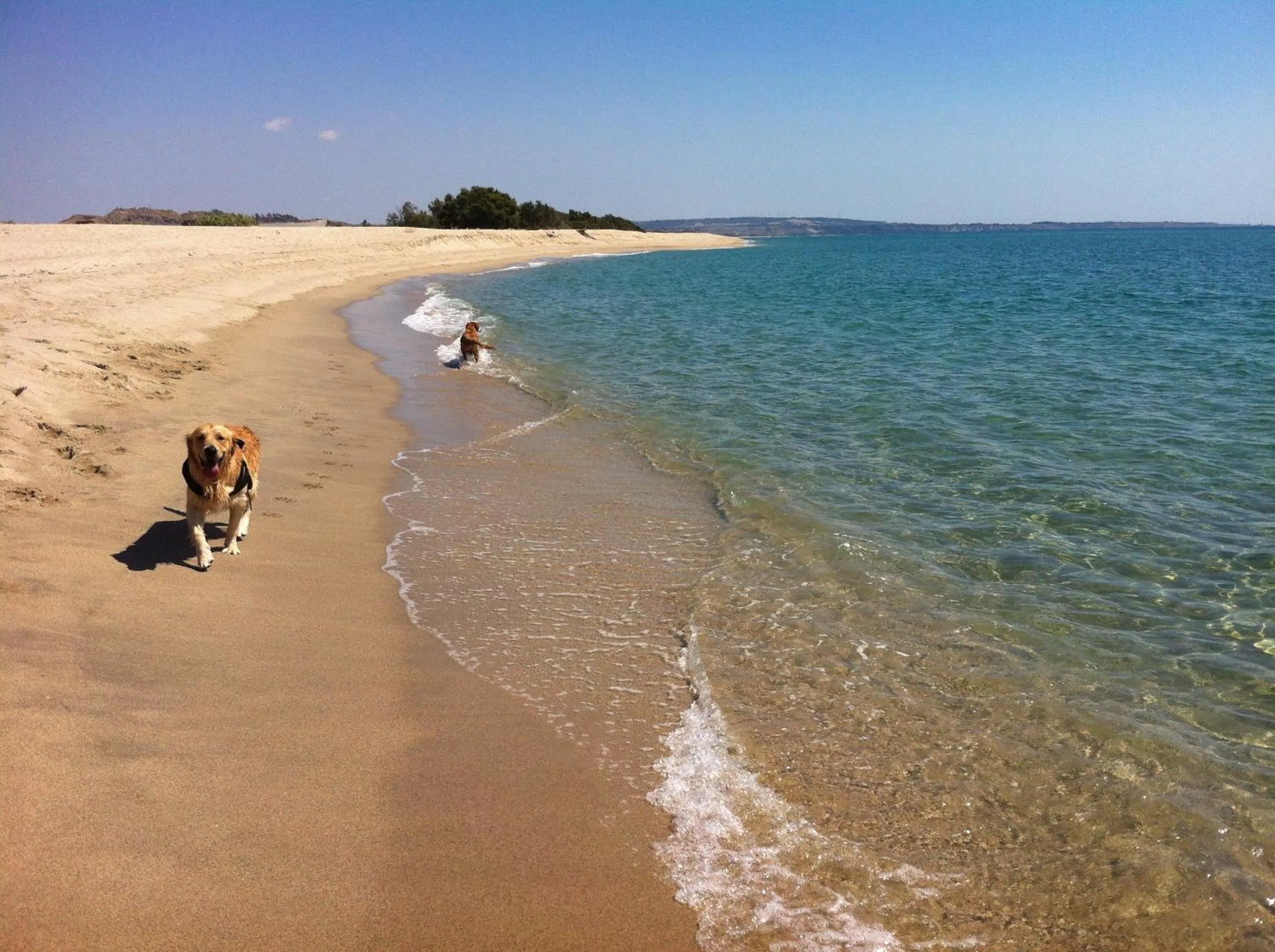 Beach in Hotel Onda Bleu