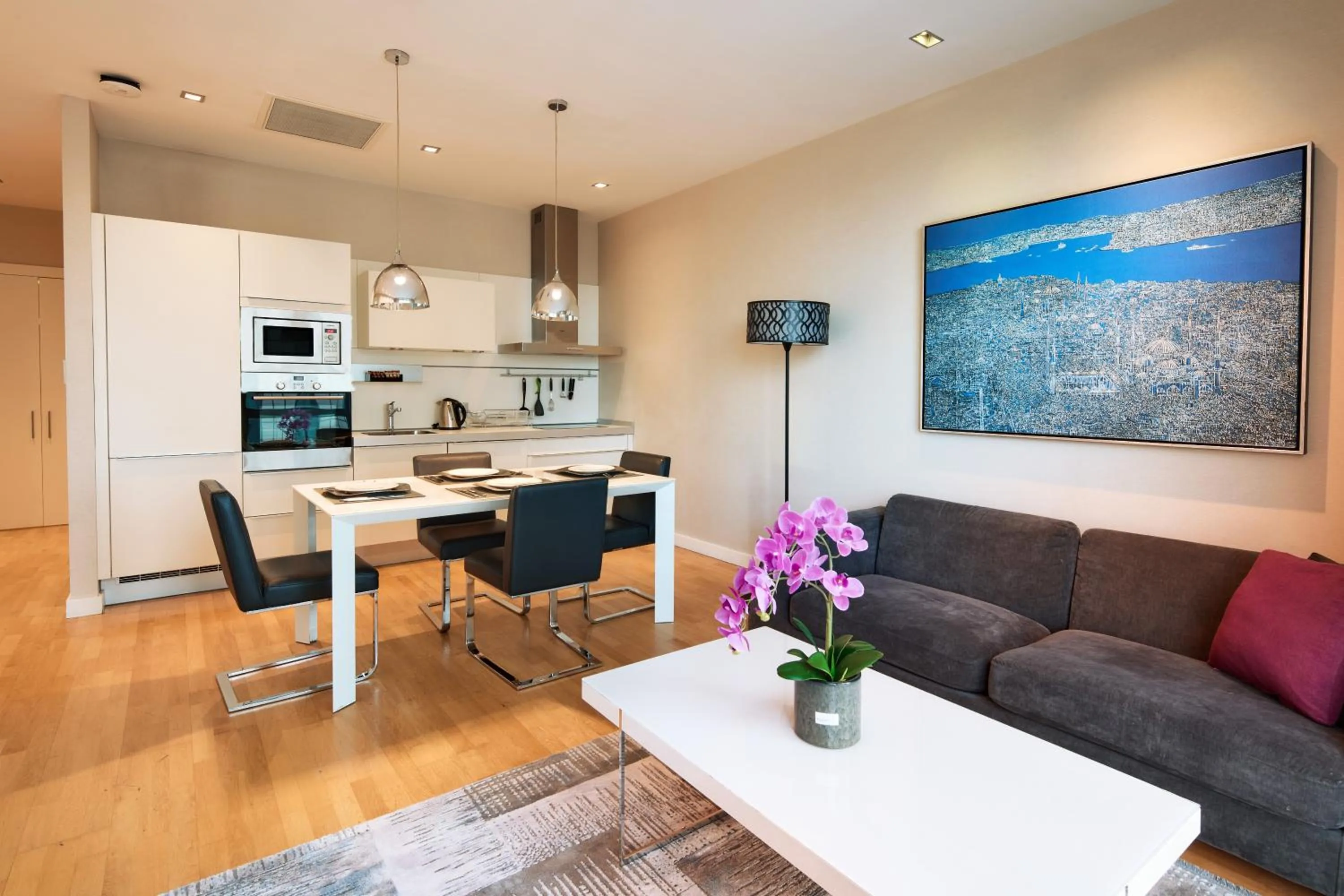 Living room in Fraser Place Anthill Istanbul