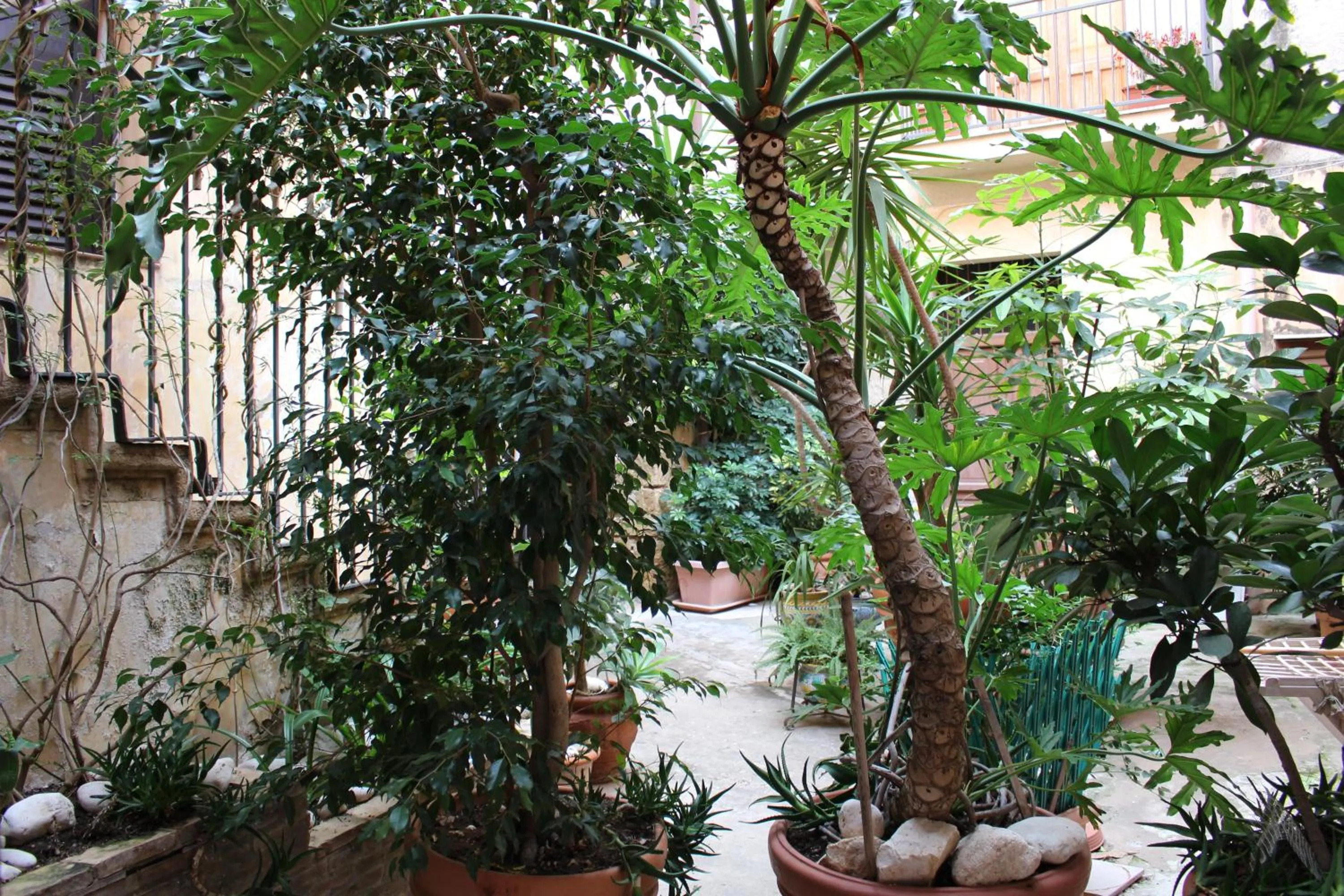 Garden in Bed & Breakfasts Conte Perollo