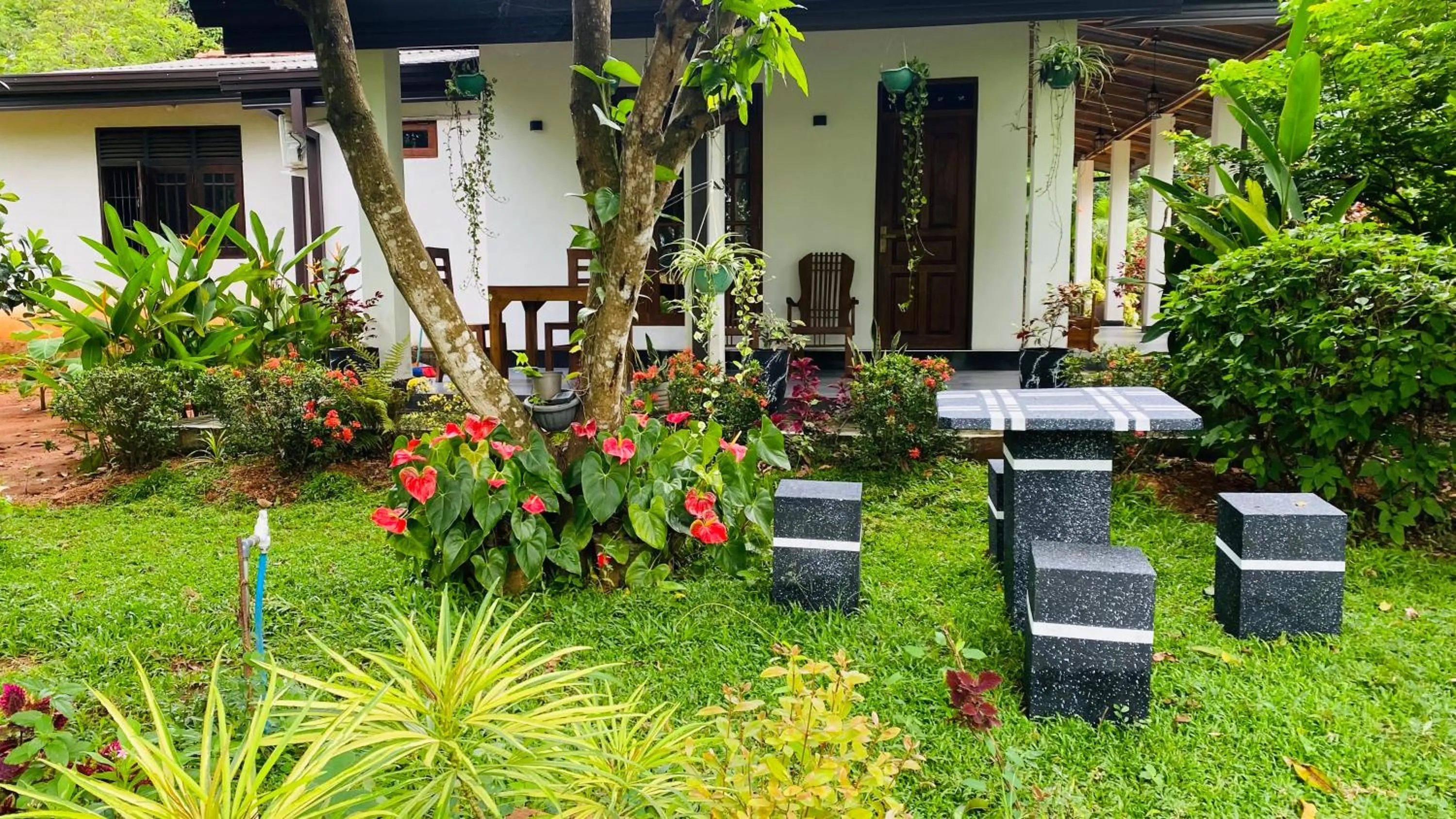 Property building in Fairview Dill homestay