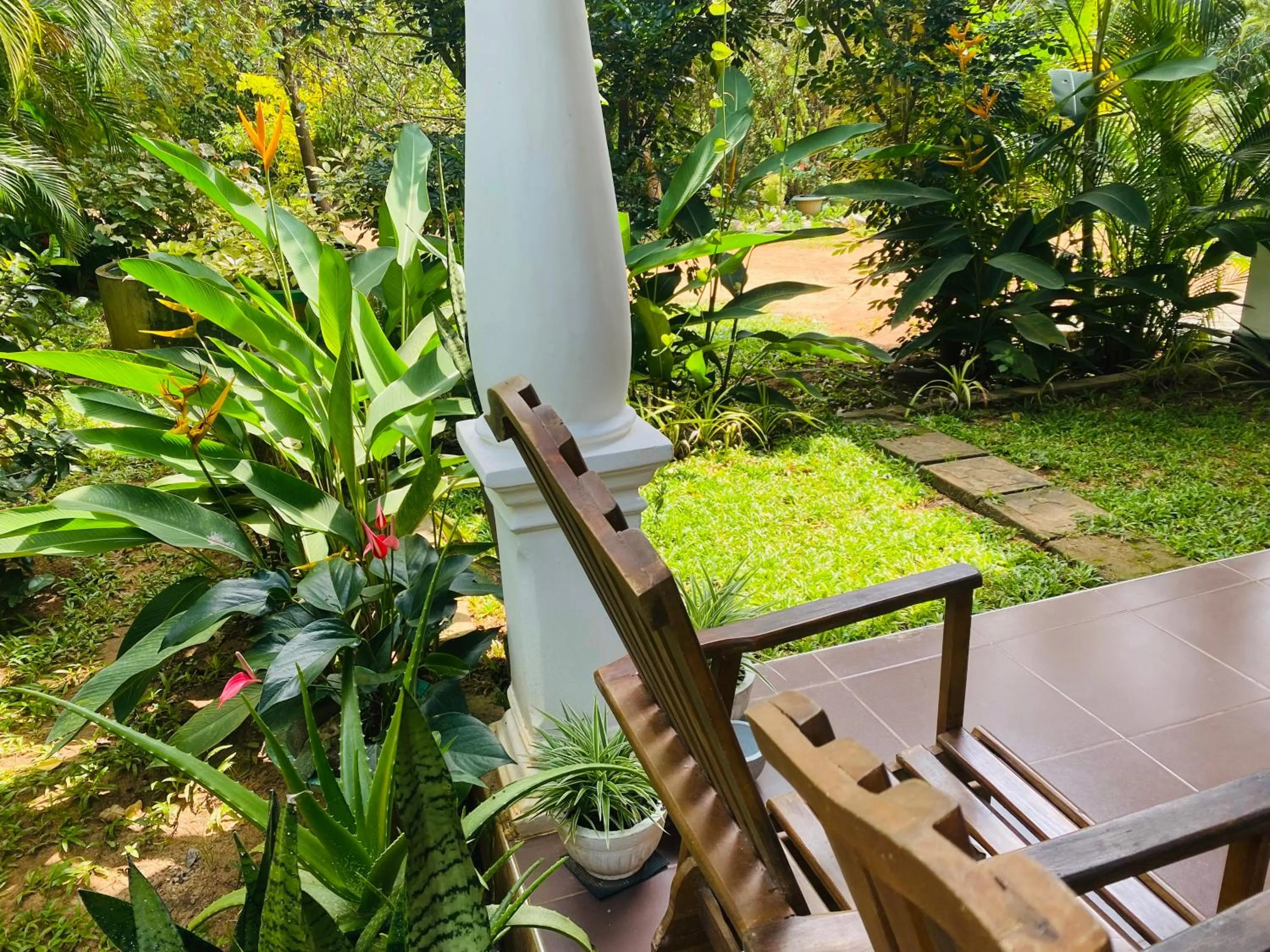 Patio in Fairview Dill homestay