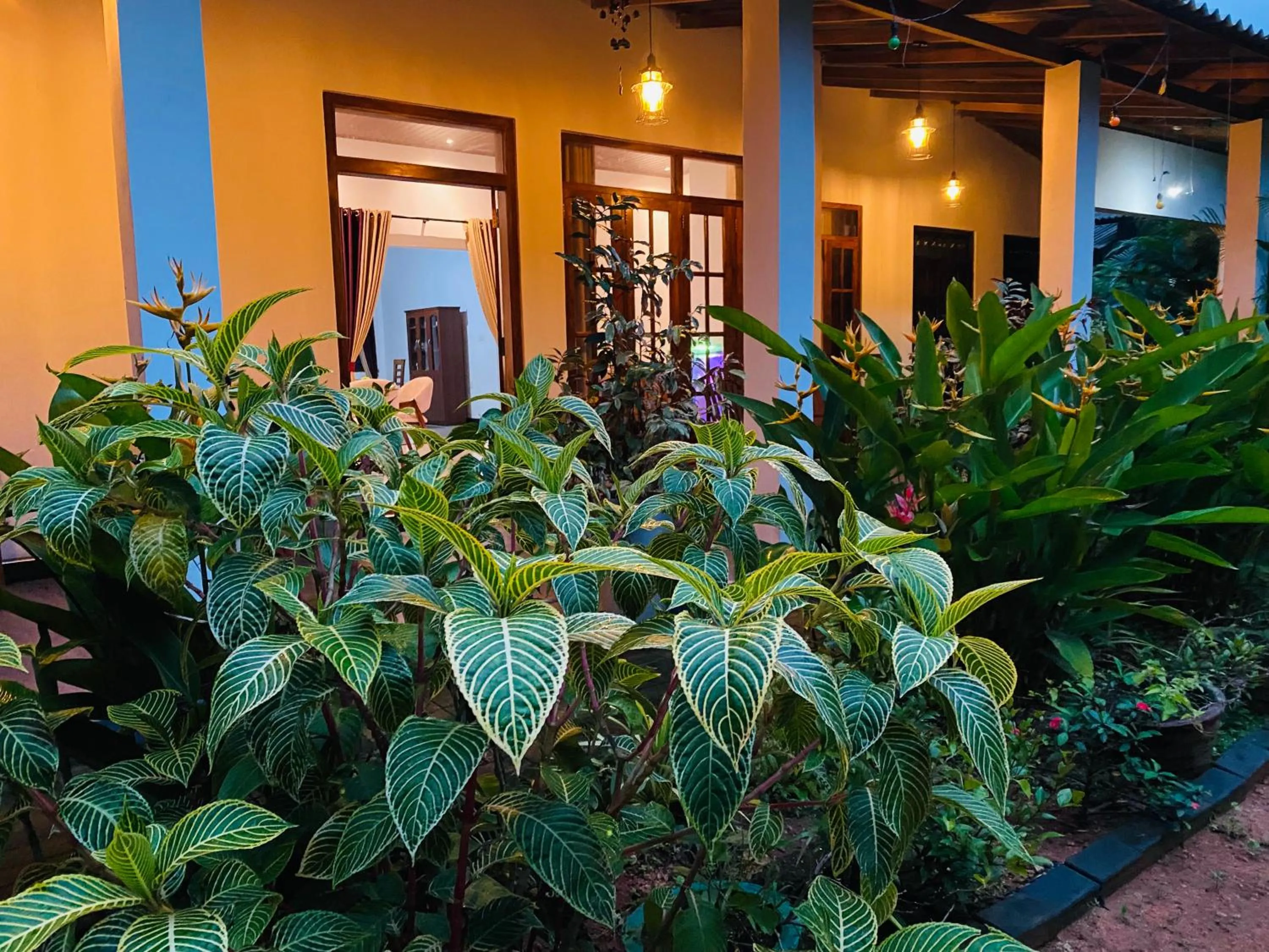 Property building in Fairview Dill homestay