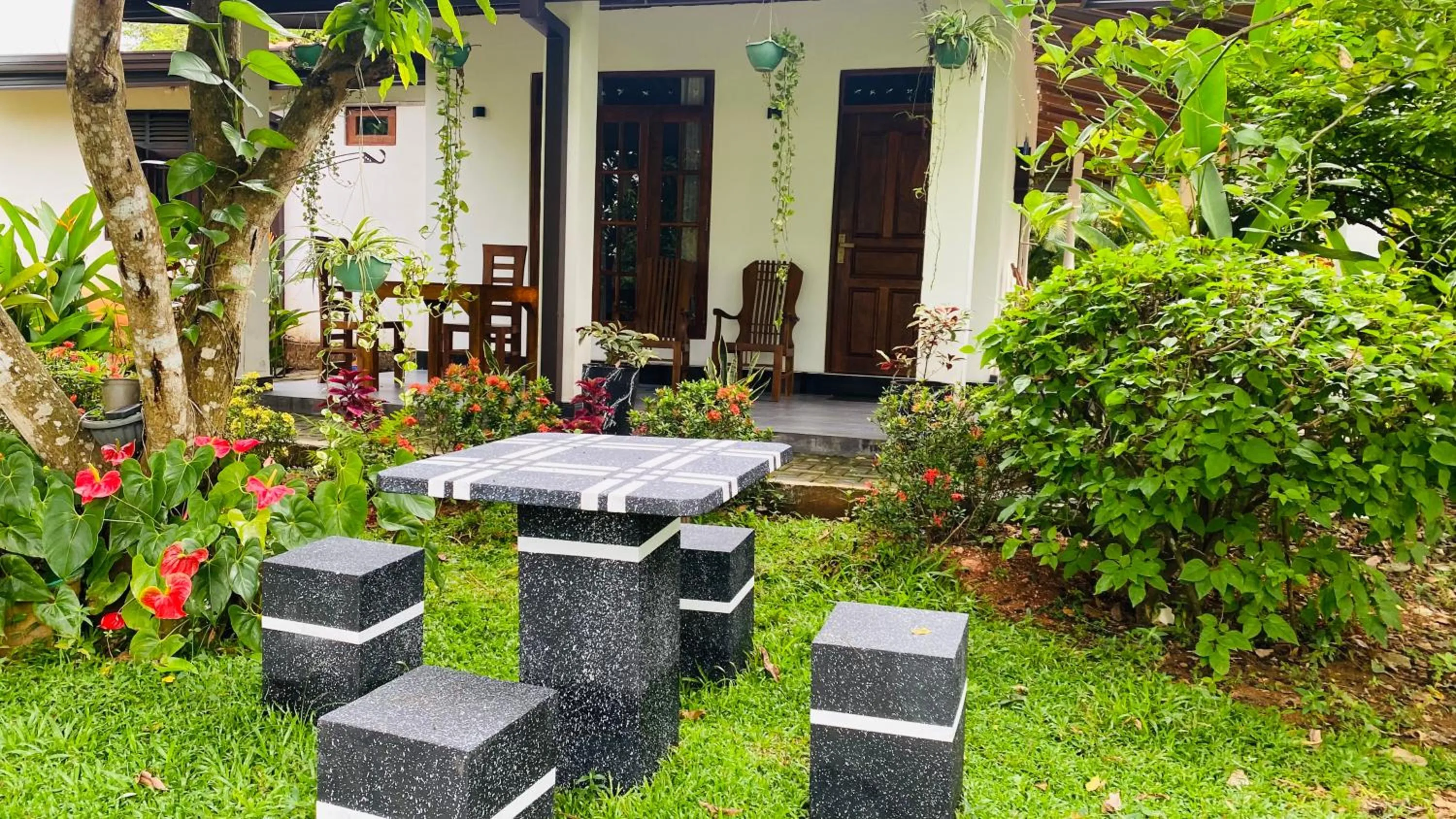 Garden in Fairview Dill homestay