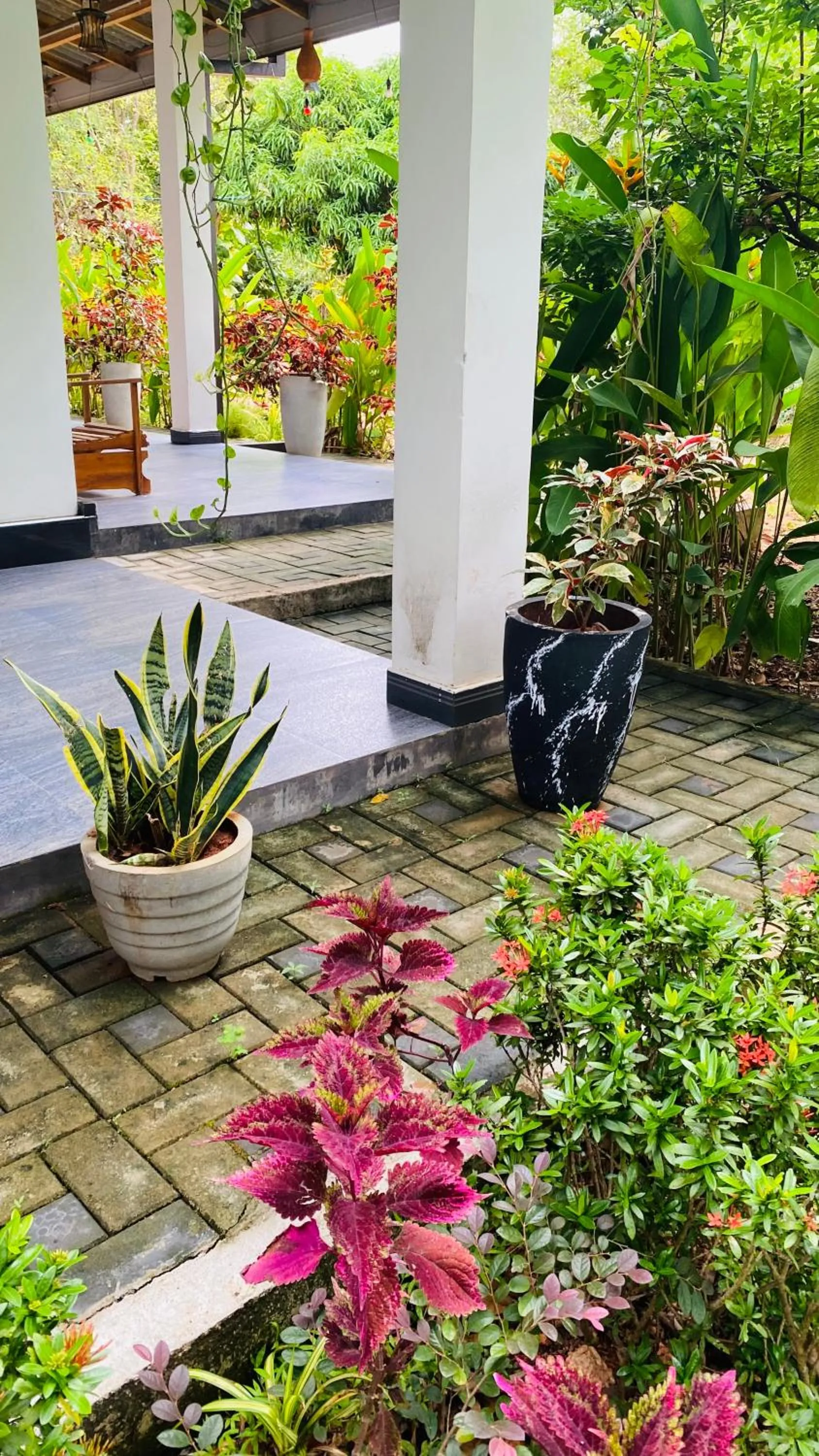 Property building in Fairview Dill homestay