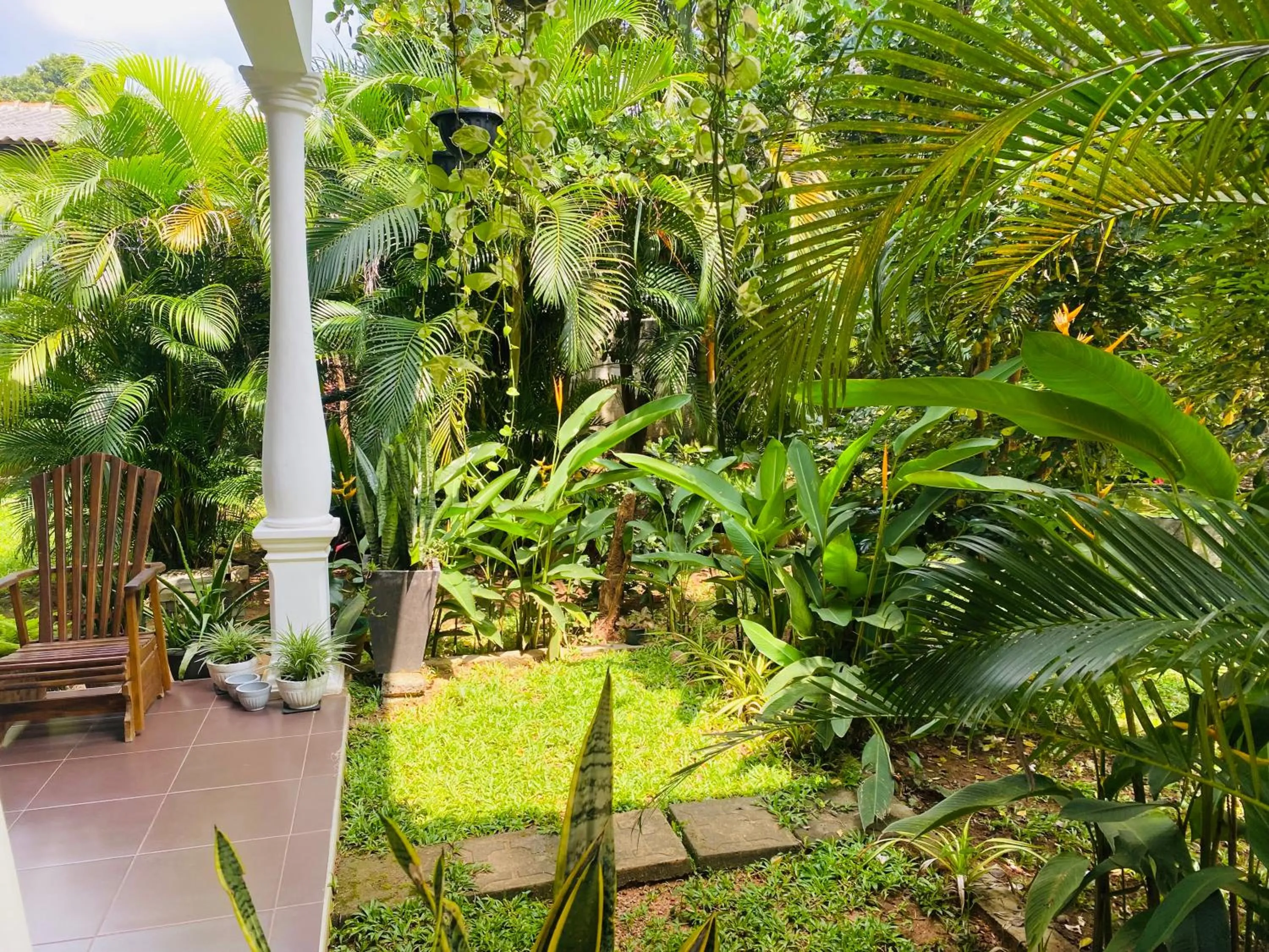 Day in Fairview Dill homestay