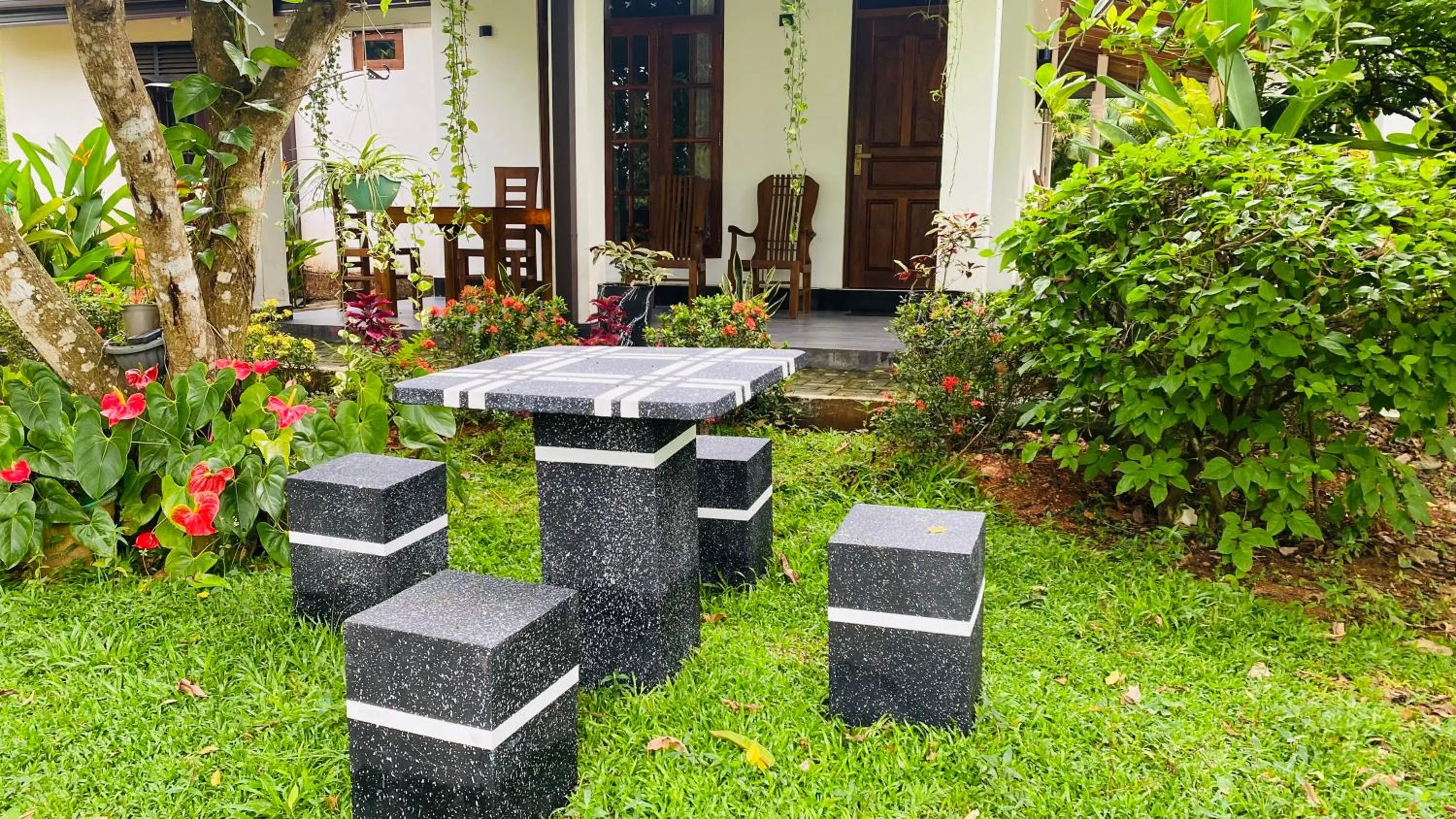 Garden in Fairview Dill homestay