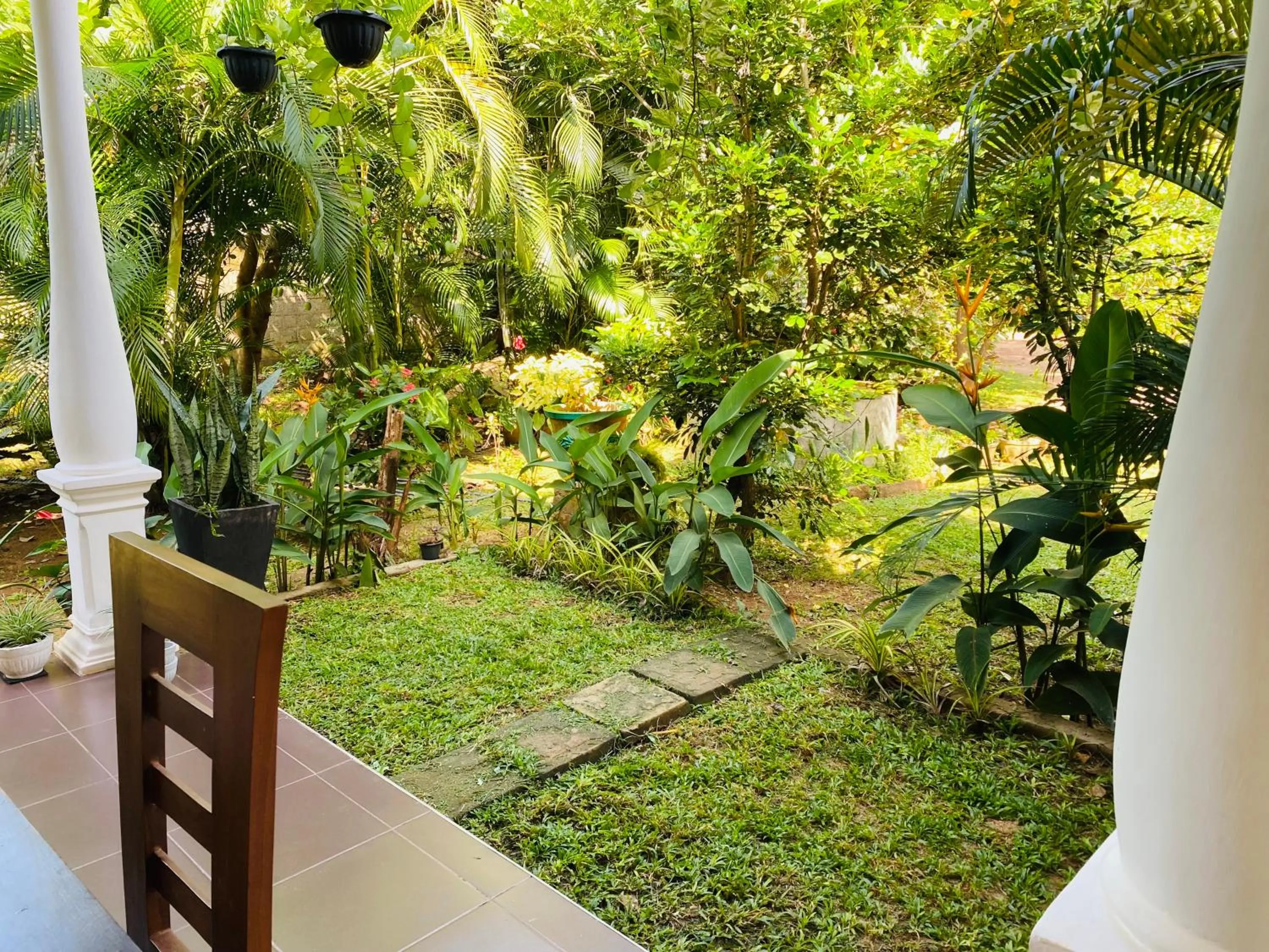 Day in Fairview Dill homestay