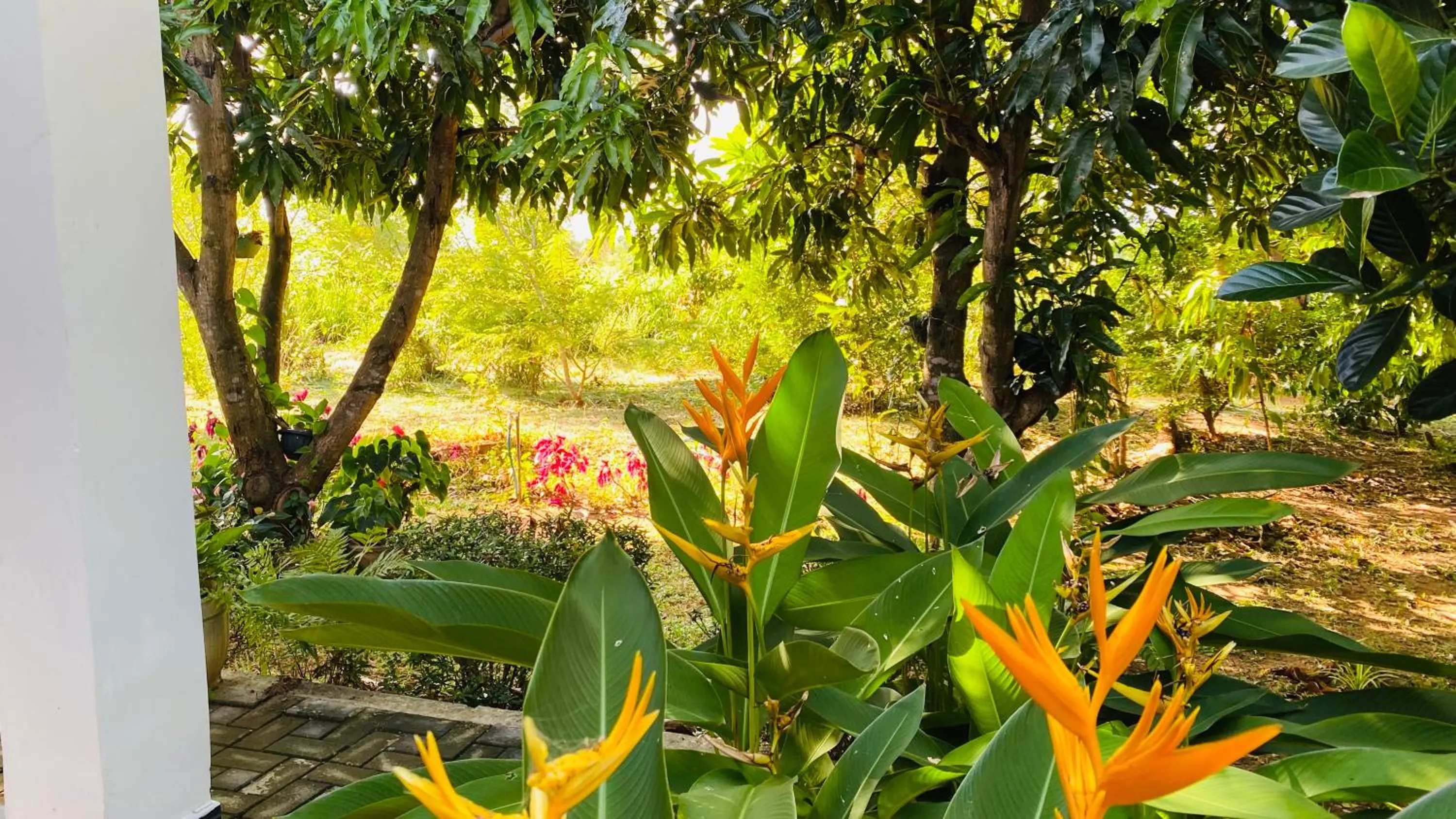 View (from property/room) in Fairview Dill homestay