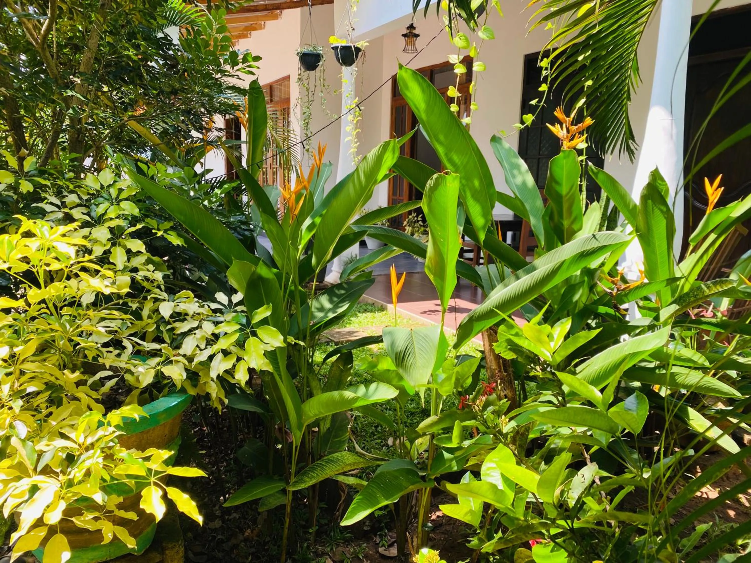 Inner courtyard view in Fairview Dill homestay