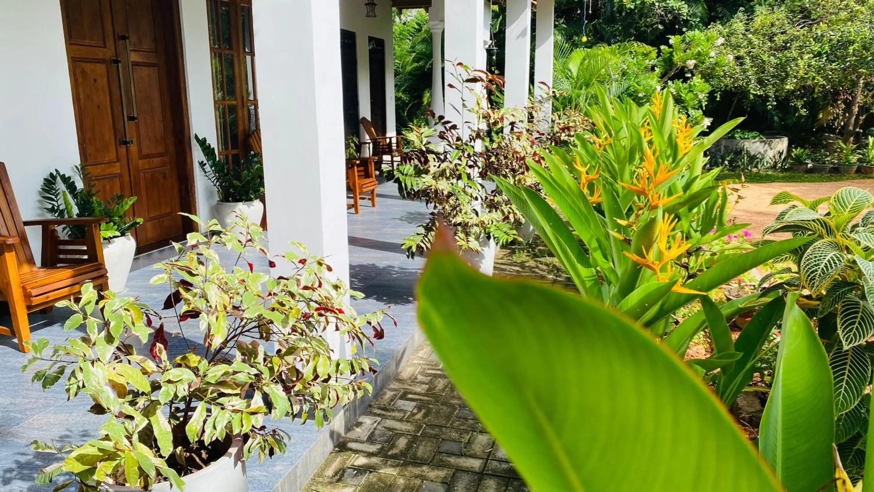 Property building in Fairview Dill homestay