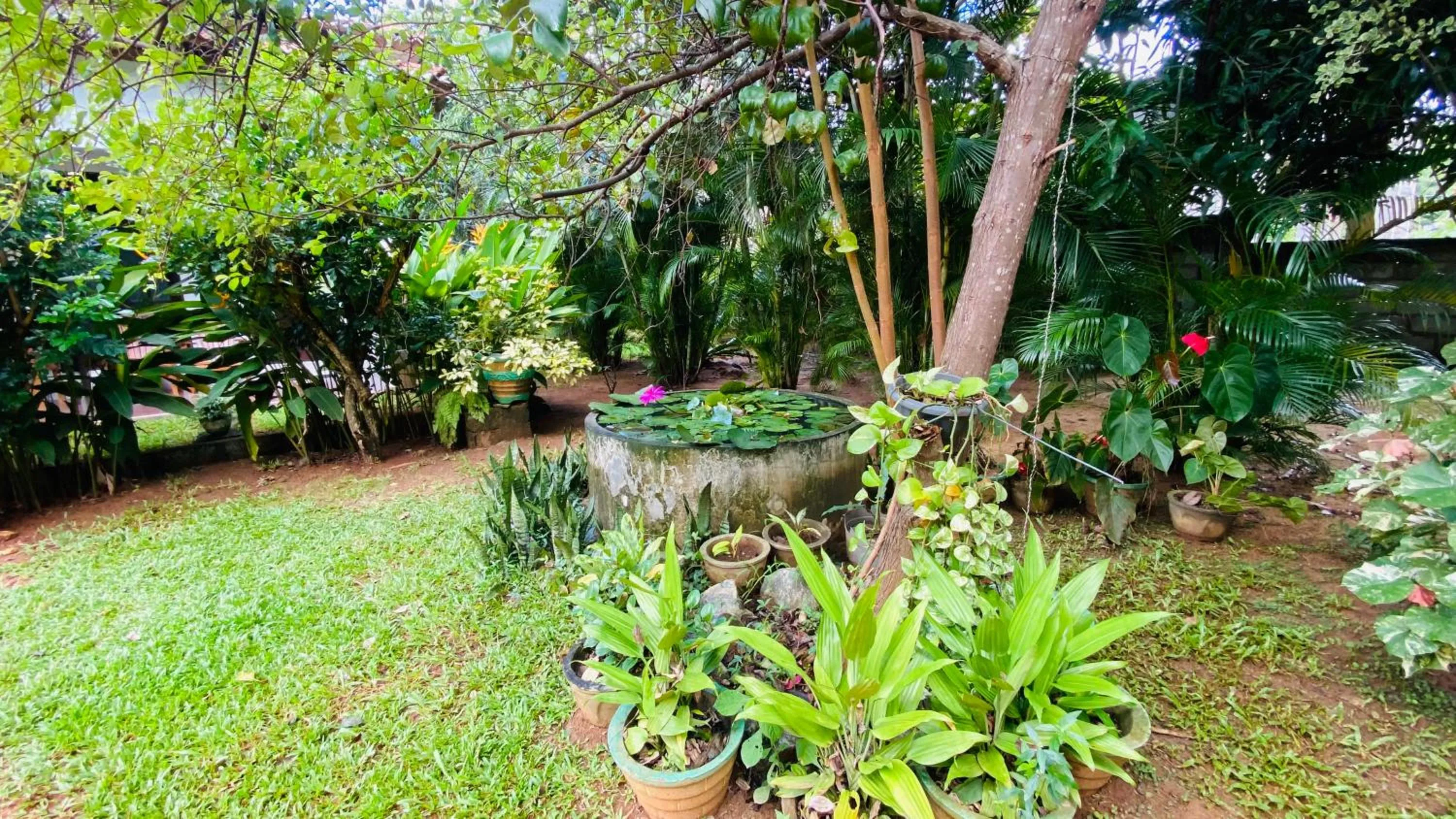 Property building in Fairview Dill homestay