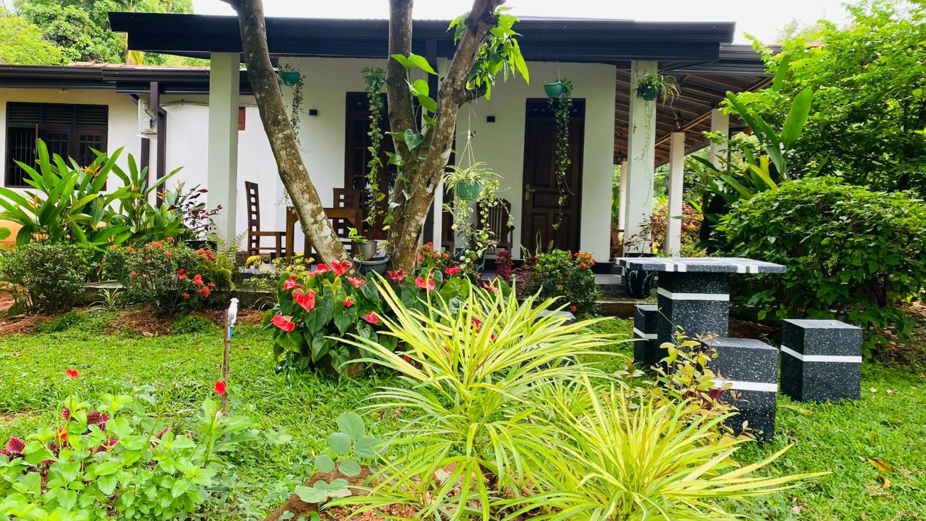 Property building in Fairview Dill homestay