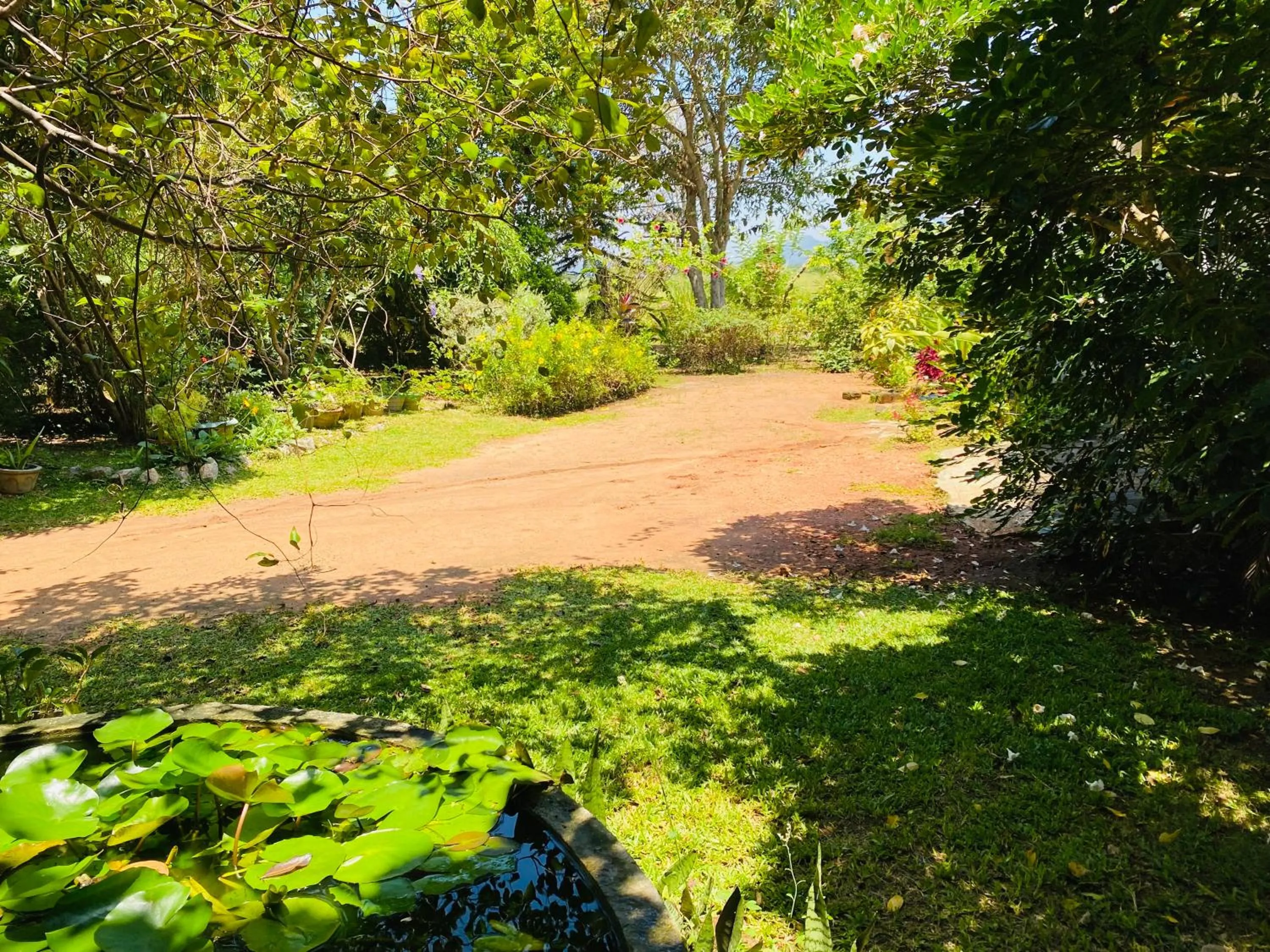 Landmark view in Fairview Dill homestay